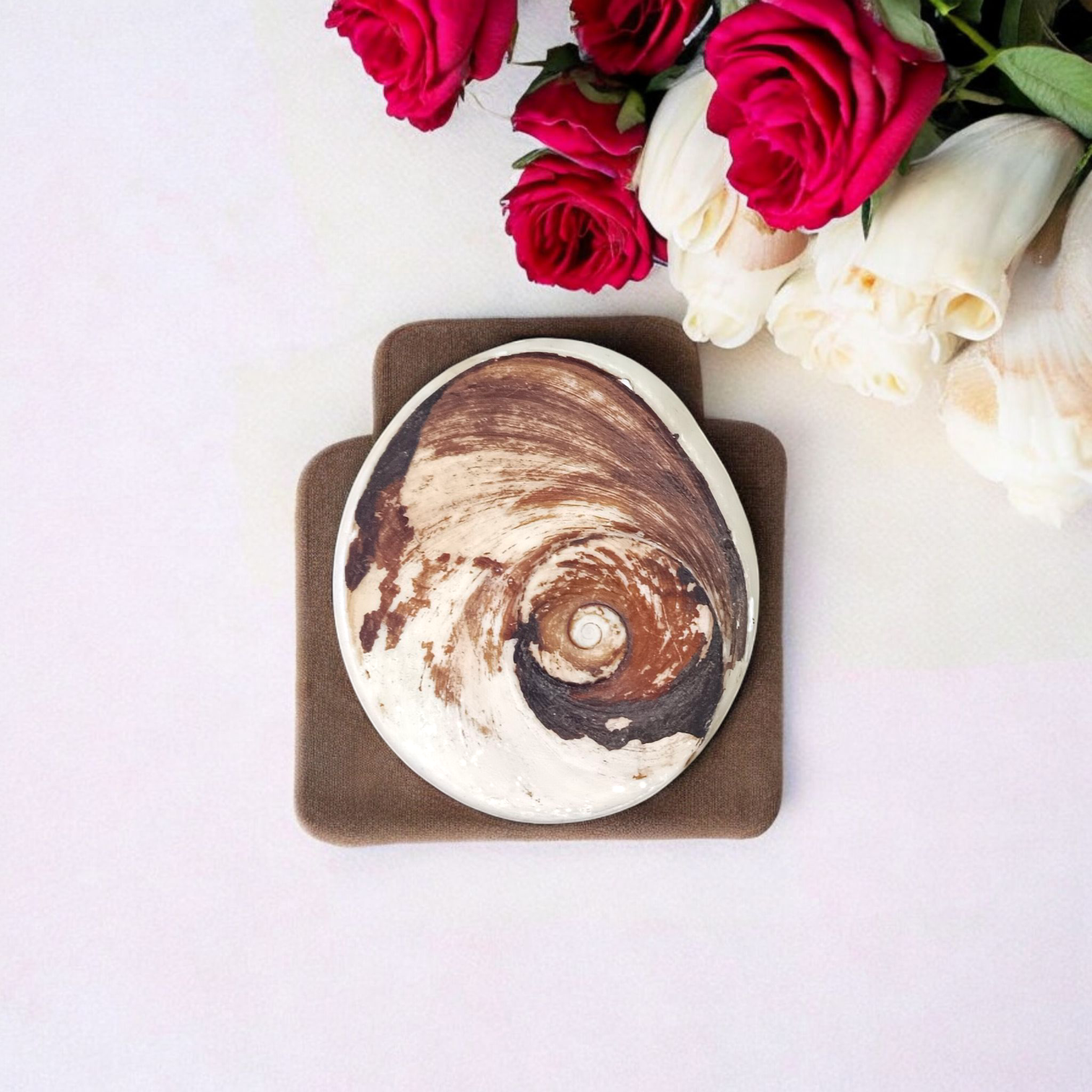 Big Gomti Chakra Set of 2 | Lab Certified | Worship & Blessings