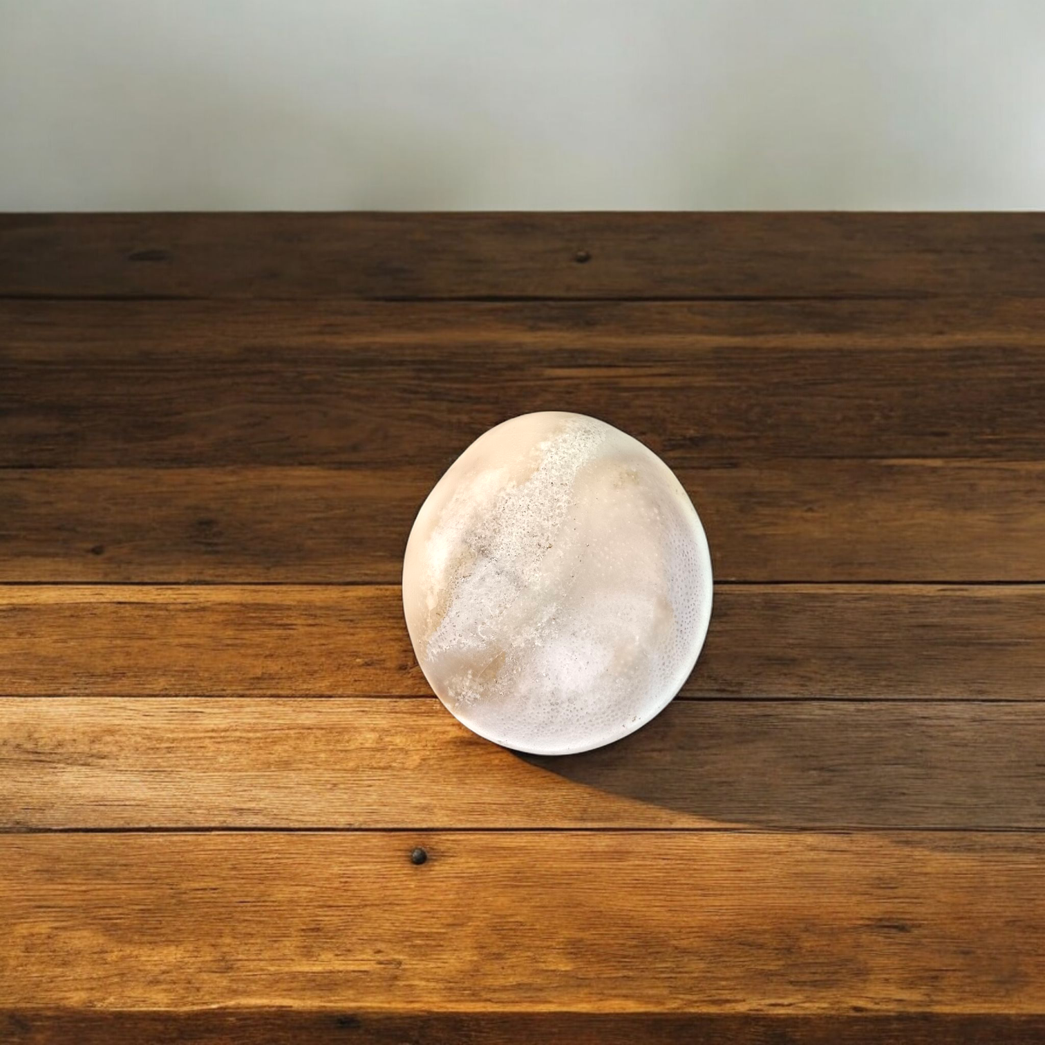 Big Gomti Chakra Set of 2 | Lab Certified | Worship & Blessings