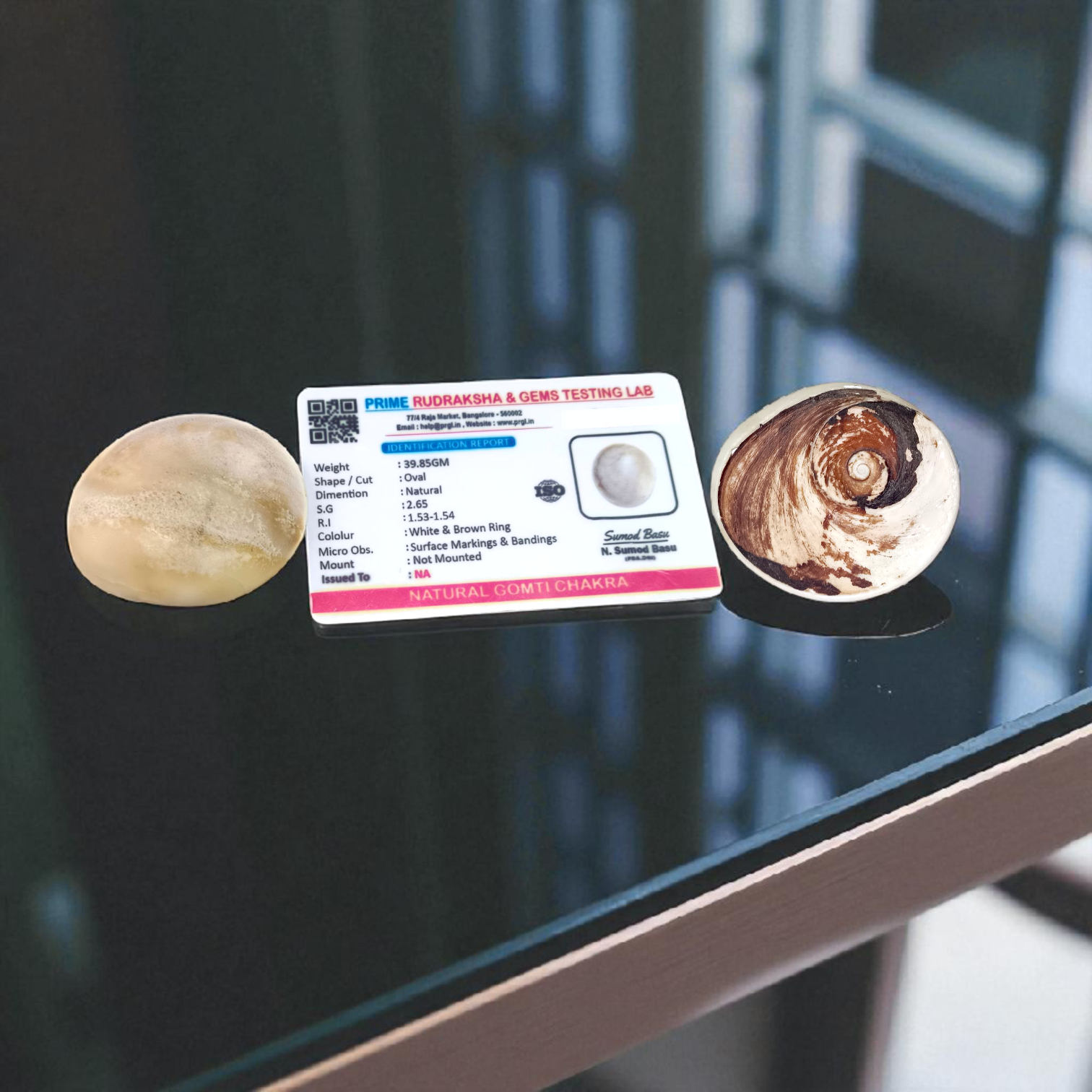 Big Gomti Chakra Set of 2 | Lab Certified | Worship & Blessings