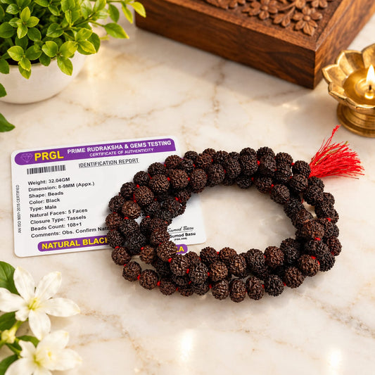 Black Rudraksha Mala and Bracelet Combo Lab Certified for Meditation Yoga