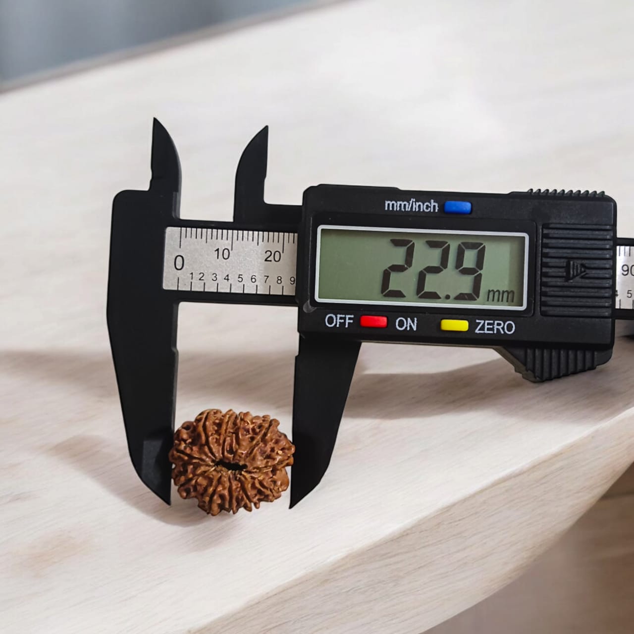 11 Mukhi Rudraksha Bead | Lab Certified and 100% Pure | Timeshopee