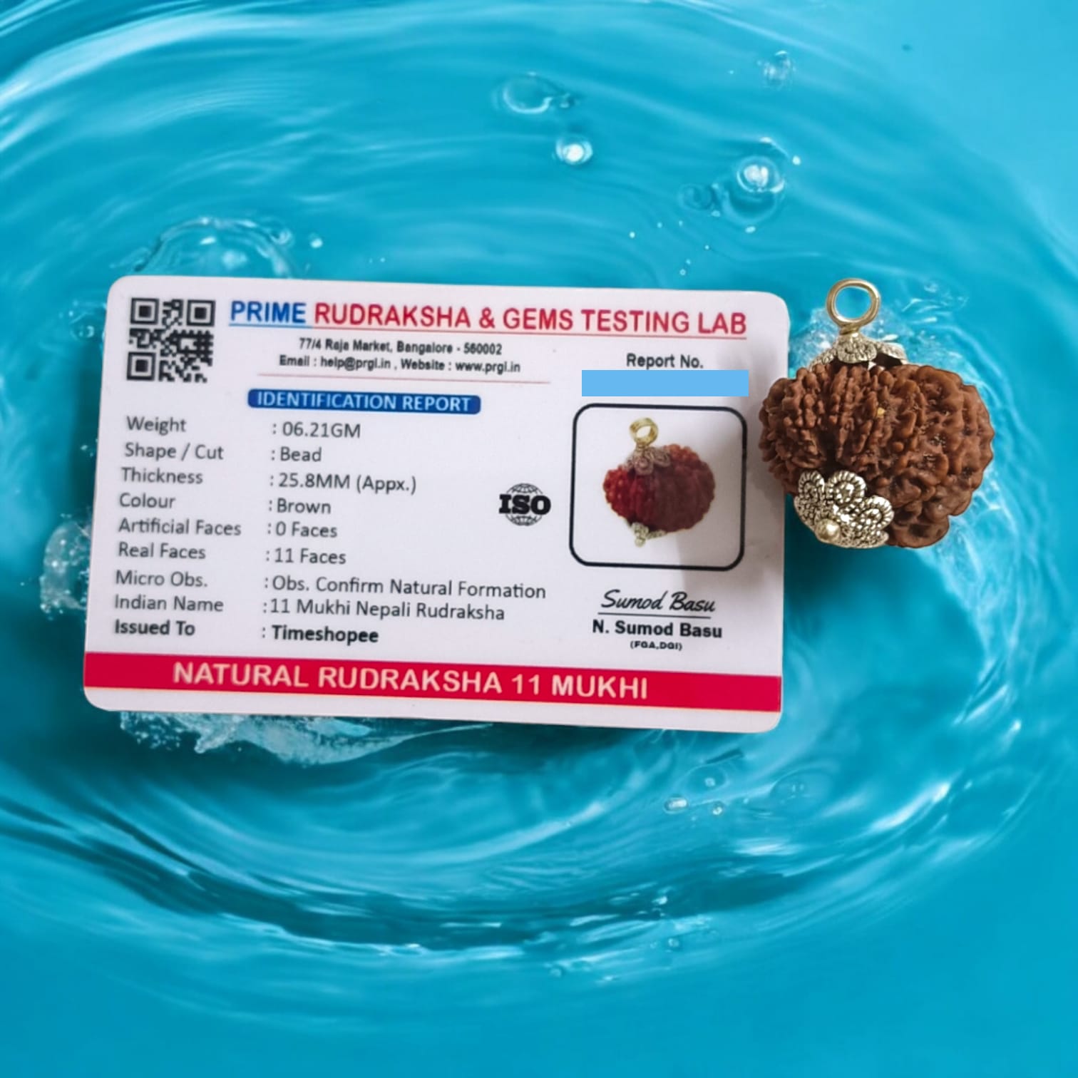 Close-up image of 11 Mukhi Rudraksha bead with visible natural lines and textures, placed on a white background