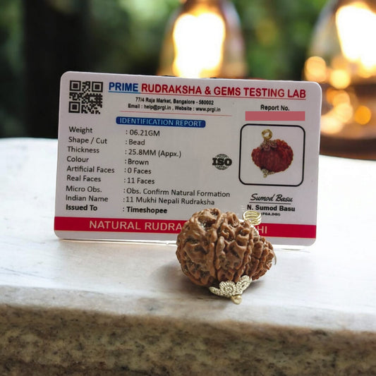Close-up image of 11 Mukhi Rudraksha bead with visible natural lines and textures, placed on a white background