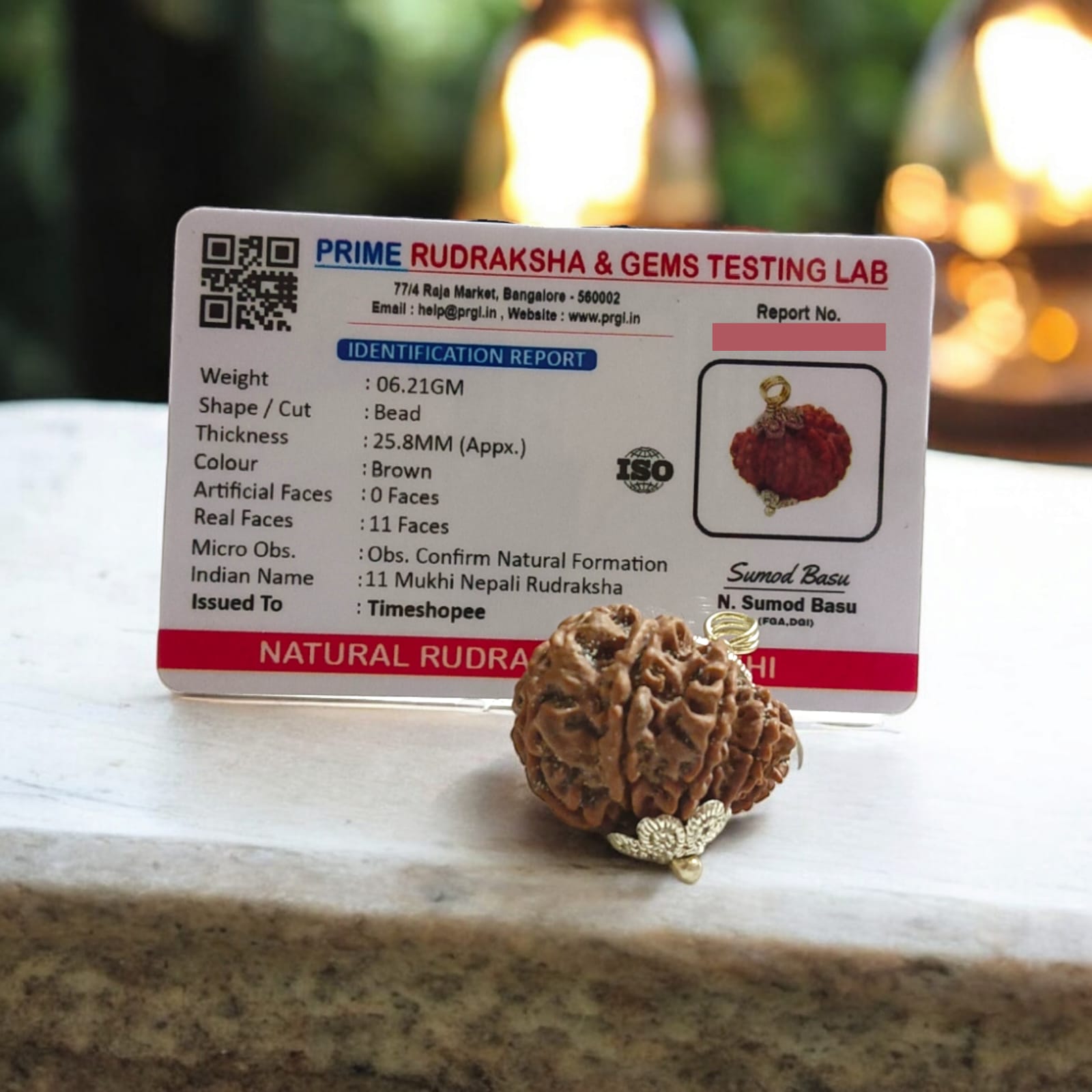 Close-up image of 11 Mukhi Rudraksha bead with visible natural lines and textures, placed on a white background
