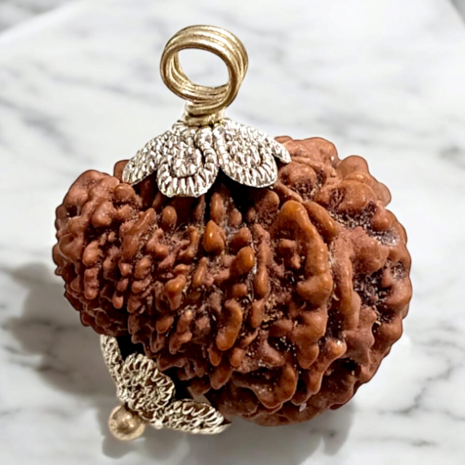 Close-up image of 11 Mukhi Rudraksha bead with visible natural lines and textures, placed on a white background