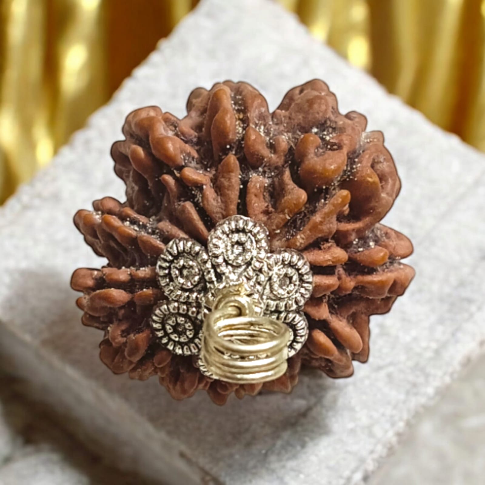 Close-up image of 11 Mukhi Rudraksha bead with visible natural lines and textures, placed on a white background