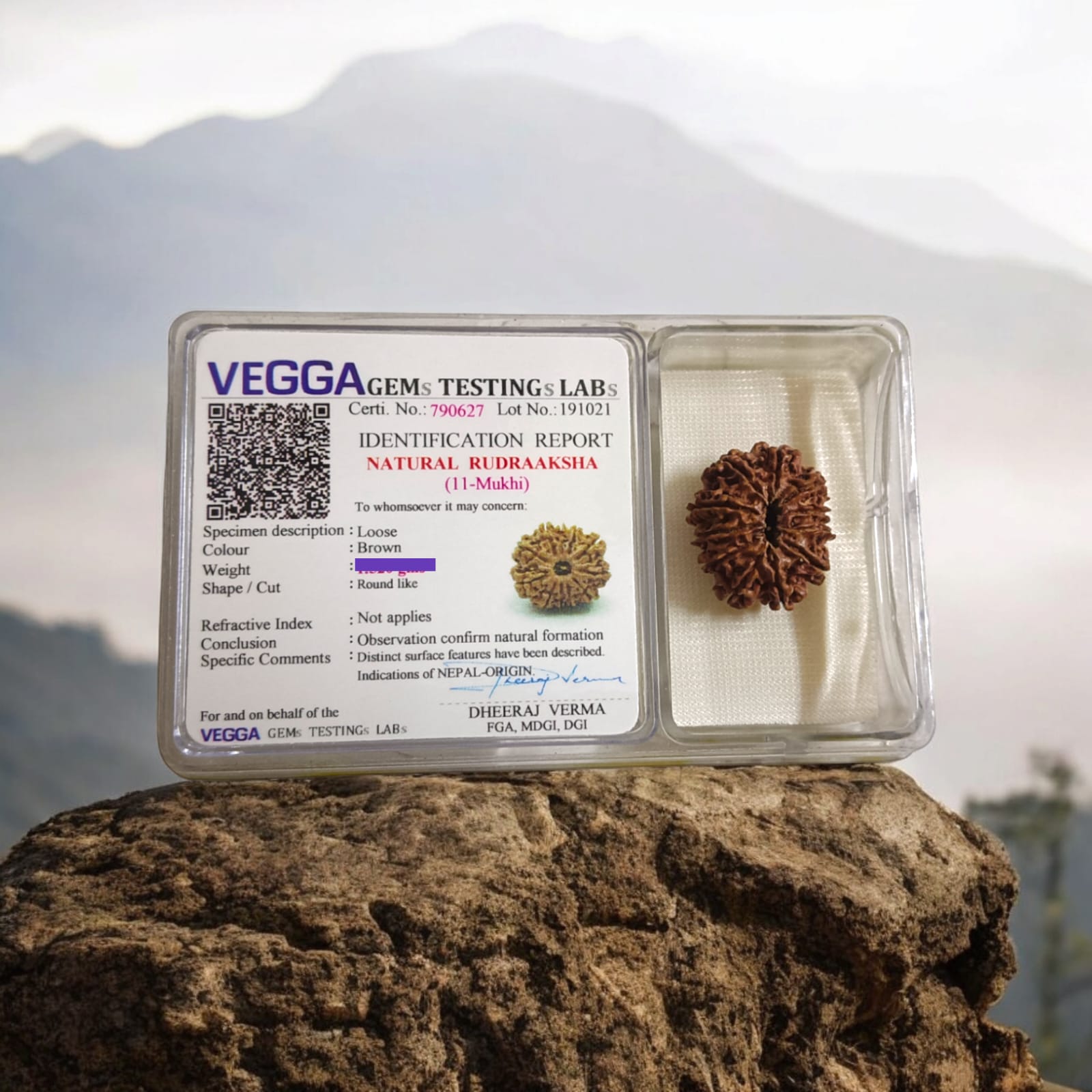 Close-up image of 11 Mukhi Rudraksha bead with visible natural lines and textures, placed on a white background