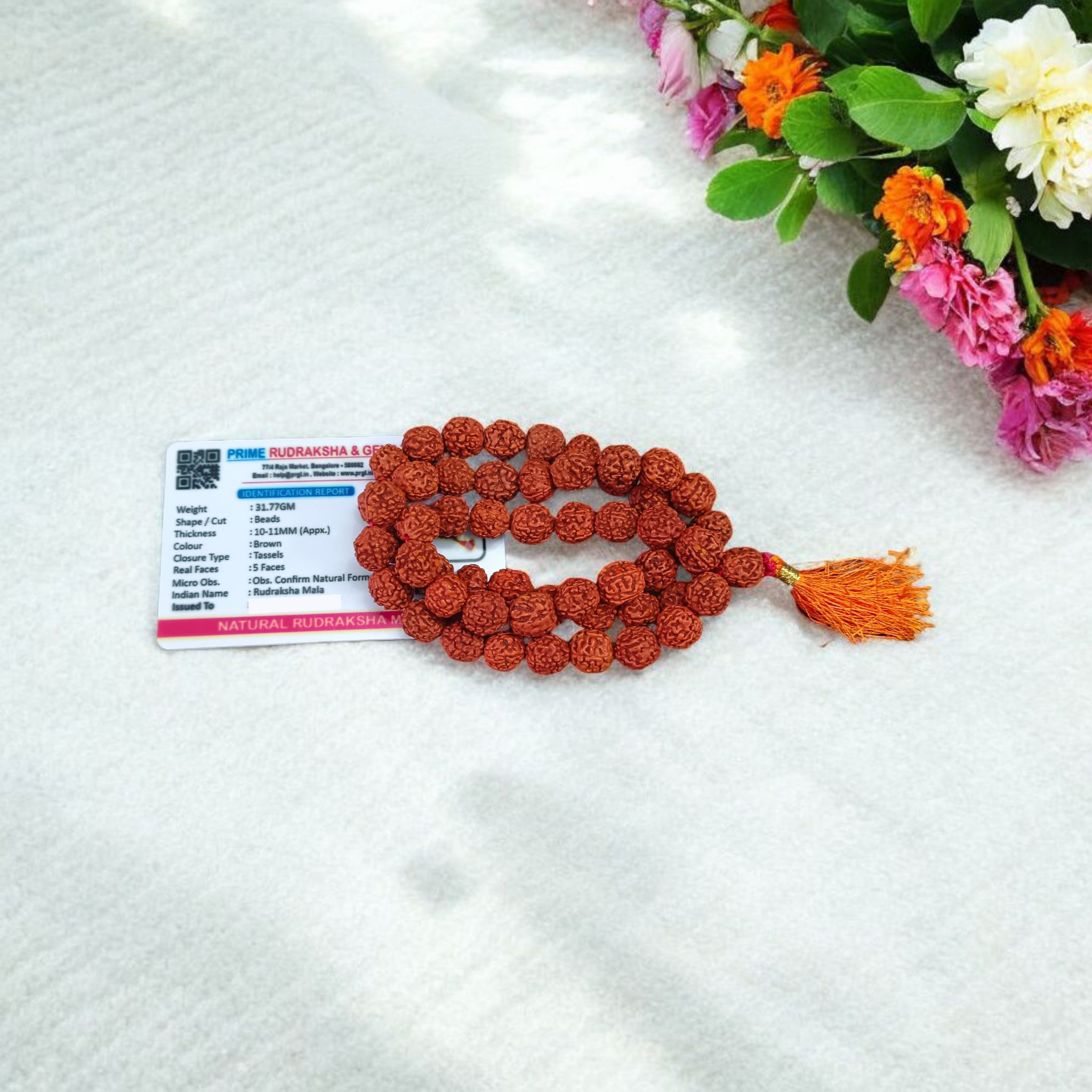 Close-up image of a 5 Mukhi Rudraksha Mala with 54+1 natural brown beads (10-11mm), arranged for Jaap and spiritual use