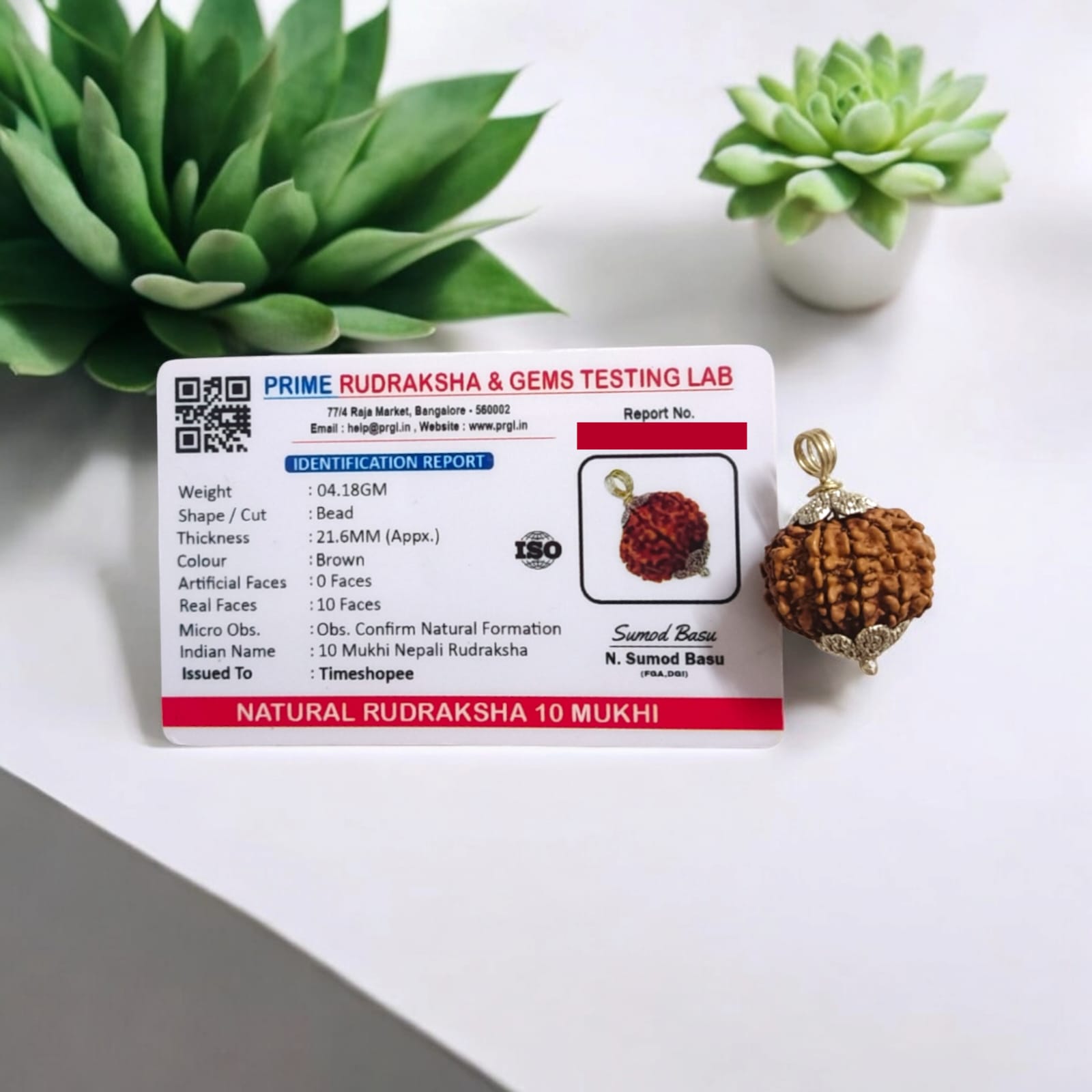 Close-up image of a lab-certified, original 10 Mukhi Rudraksha bead with clear natural grooves, placed on a wooden surface