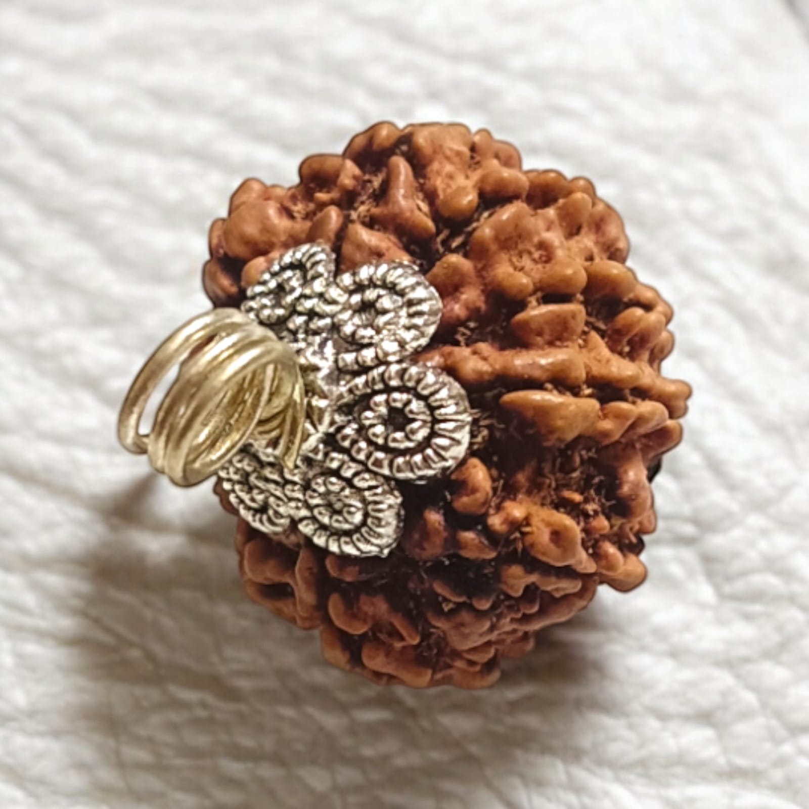 Close-up image of a lab-certified, original 10 Mukhi Rudraksha bead with clear natural grooves, placed on a wooden surface