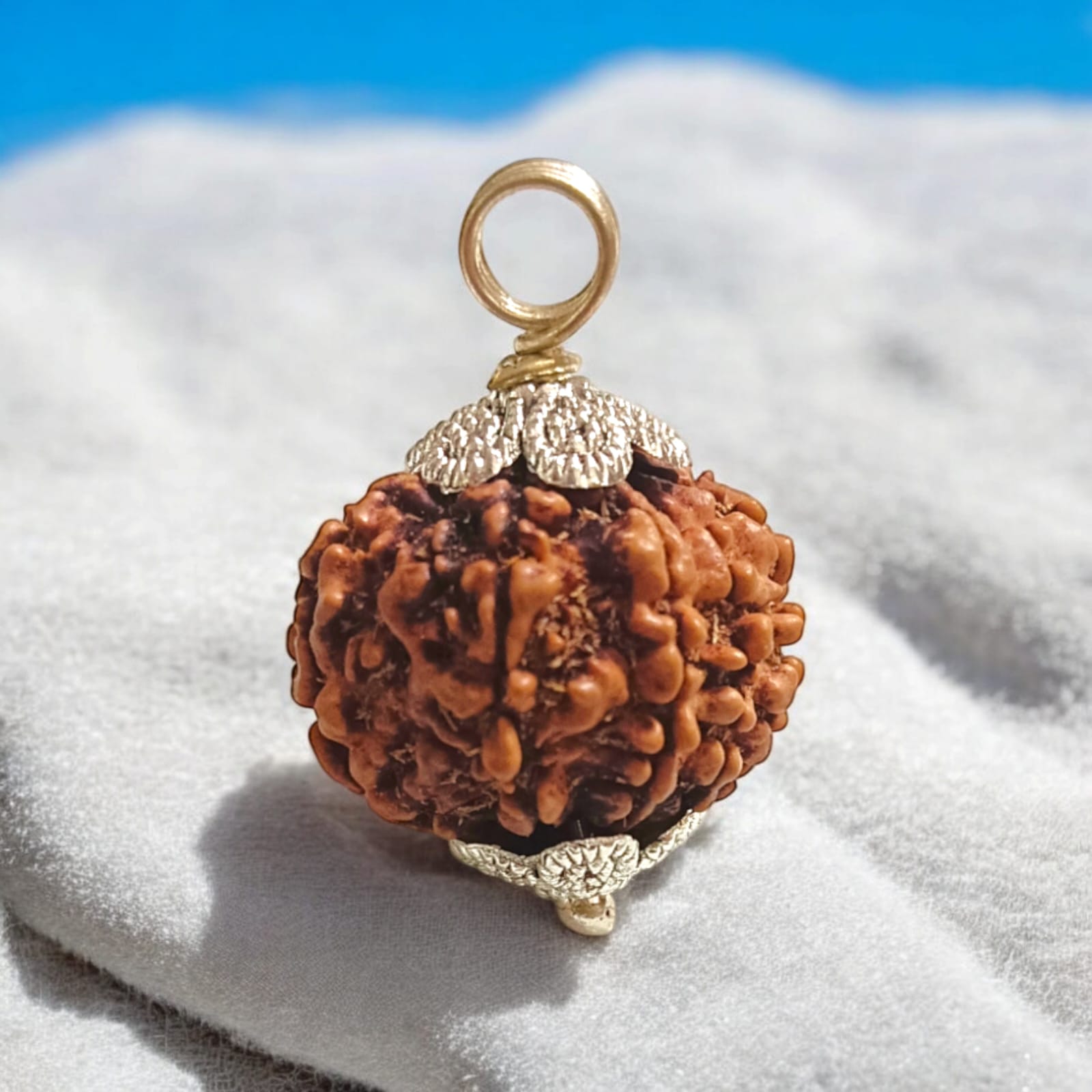 Close-up image of a lab-certified, original 10 Mukhi Rudraksha bead with clear natural grooves, placed on a wooden surface