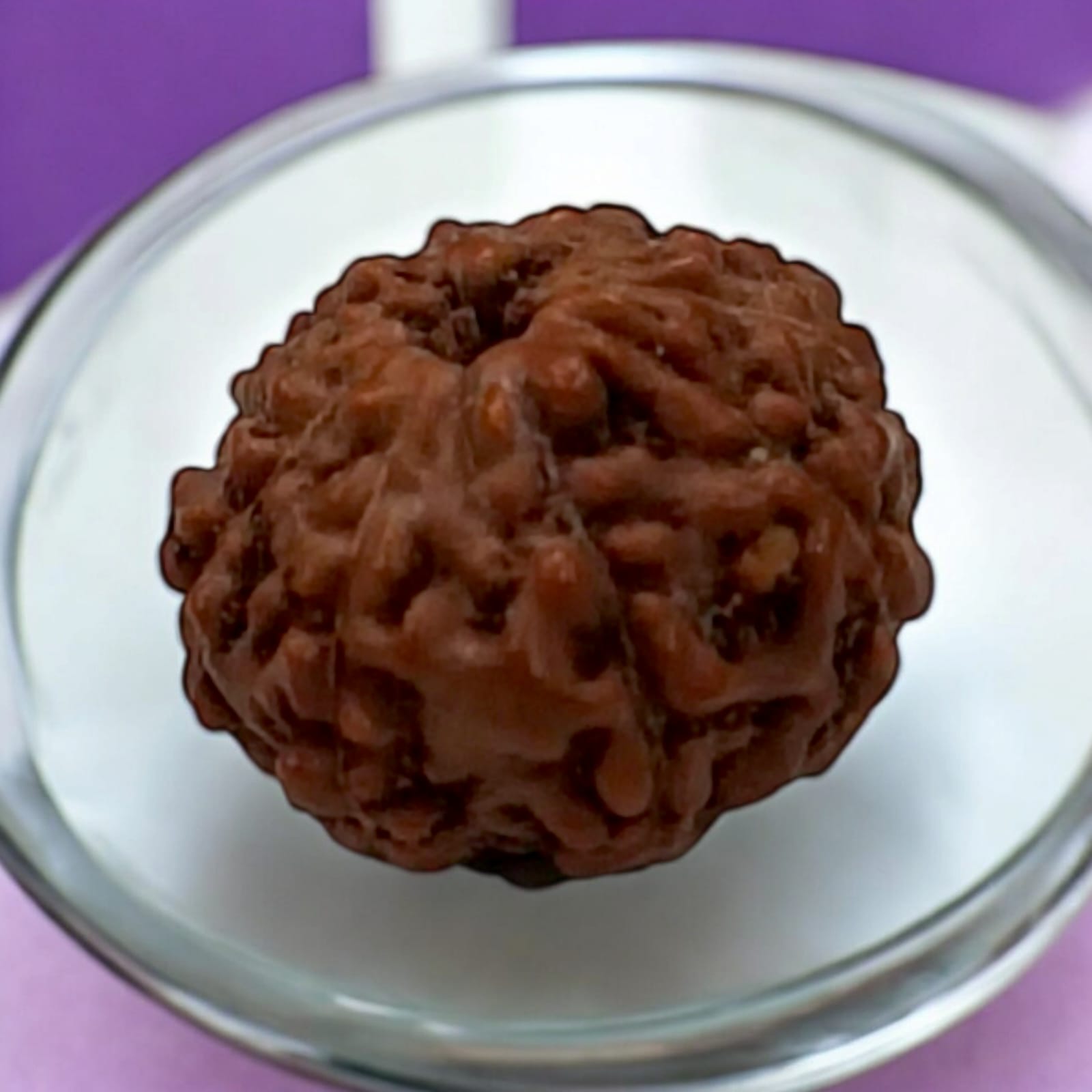 Close-up image of a lab-certified, original 10 Mukhi Rudraksha bead with clear natural grooves, placed on a wooden surface