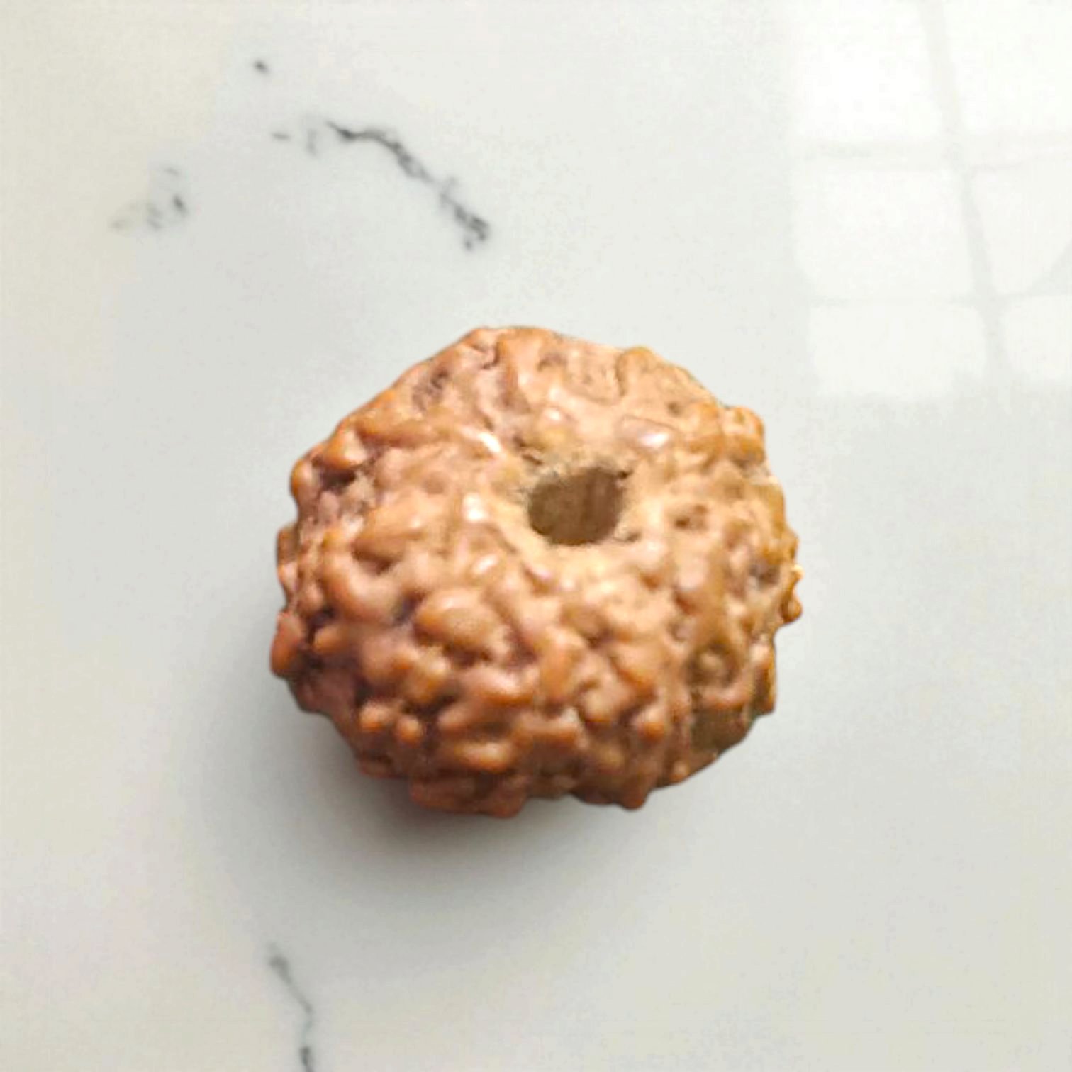 Close-up image of a lab-certified, original 10 Mukhi Rudraksha bead with clear natural grooves, placed on a wooden surface