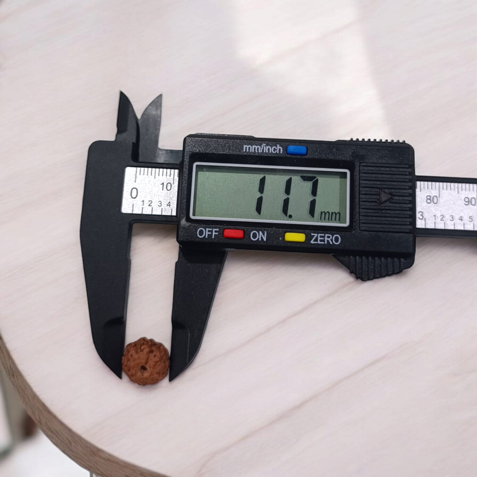 Close-up image of a lab-certified, original 10 Mukhi Rudraksha bead with clear natural grooves, placed on a wooden surface
