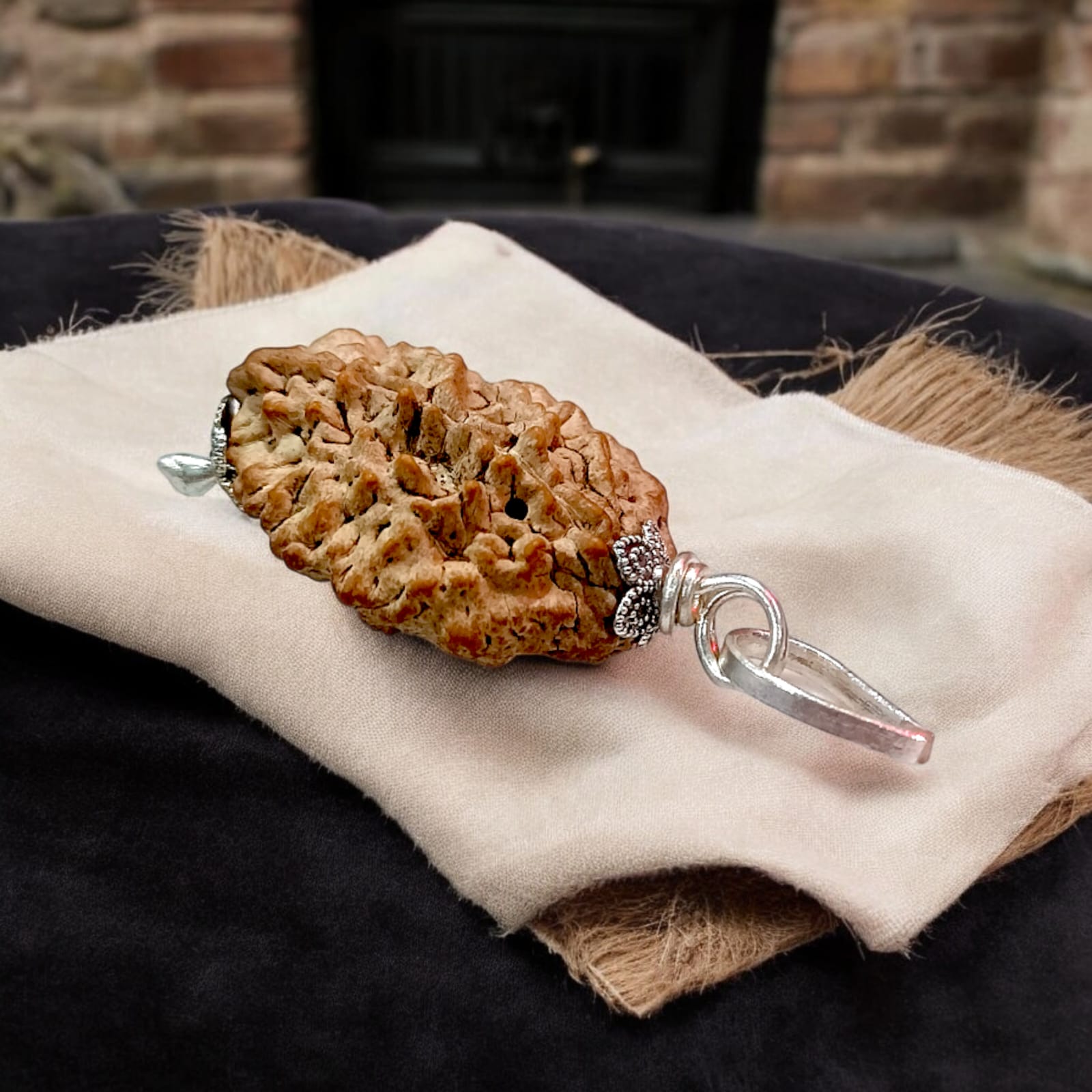 Combo Of 2 Mukhi With 3 Mukhi Rudraksha | Lab Certified | Timeshopee