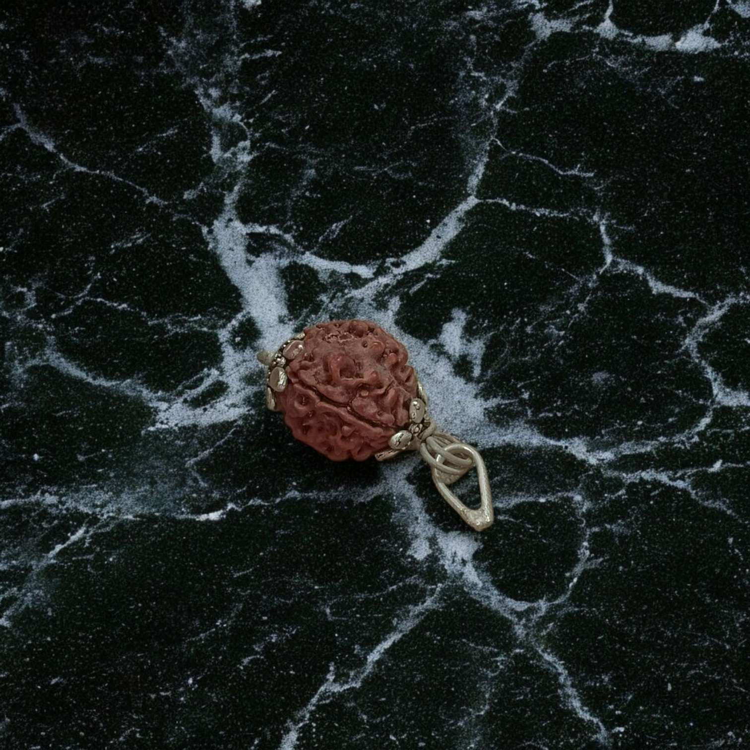 Combo Of 4 Mukhi With 6 Mukhi Rudraksha | Lab Certified | Timeshopee