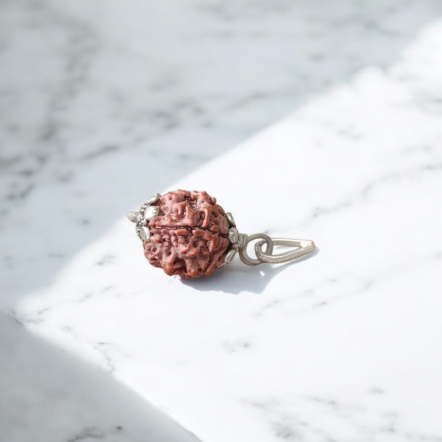 Combo Of 4 Mukhi With 6 Mukhi Rudraksha | Lab Certified | Timeshopee