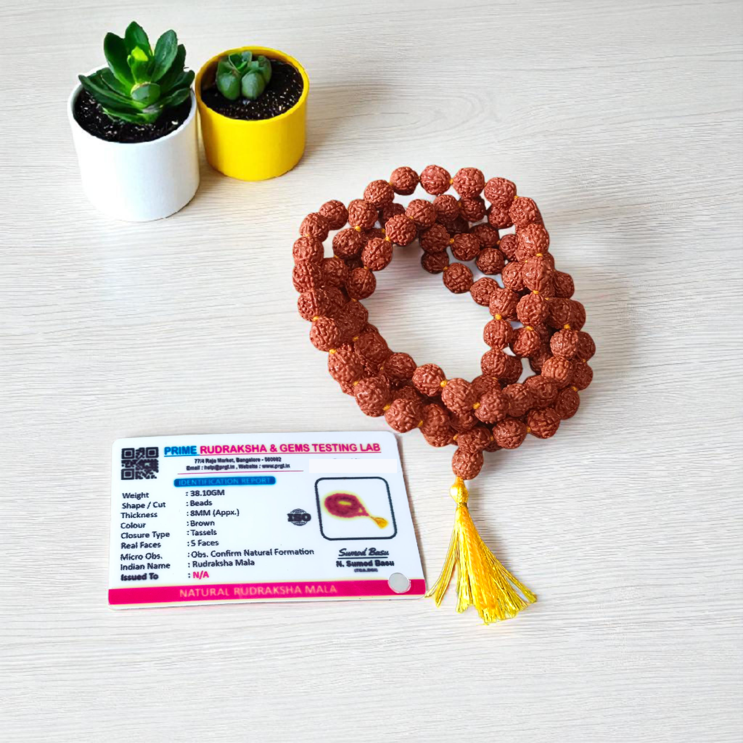 Combo Rudraksha and Black Rudraksha Mala with 108+1 beads for meditation, energy protection, and spiritual growth
