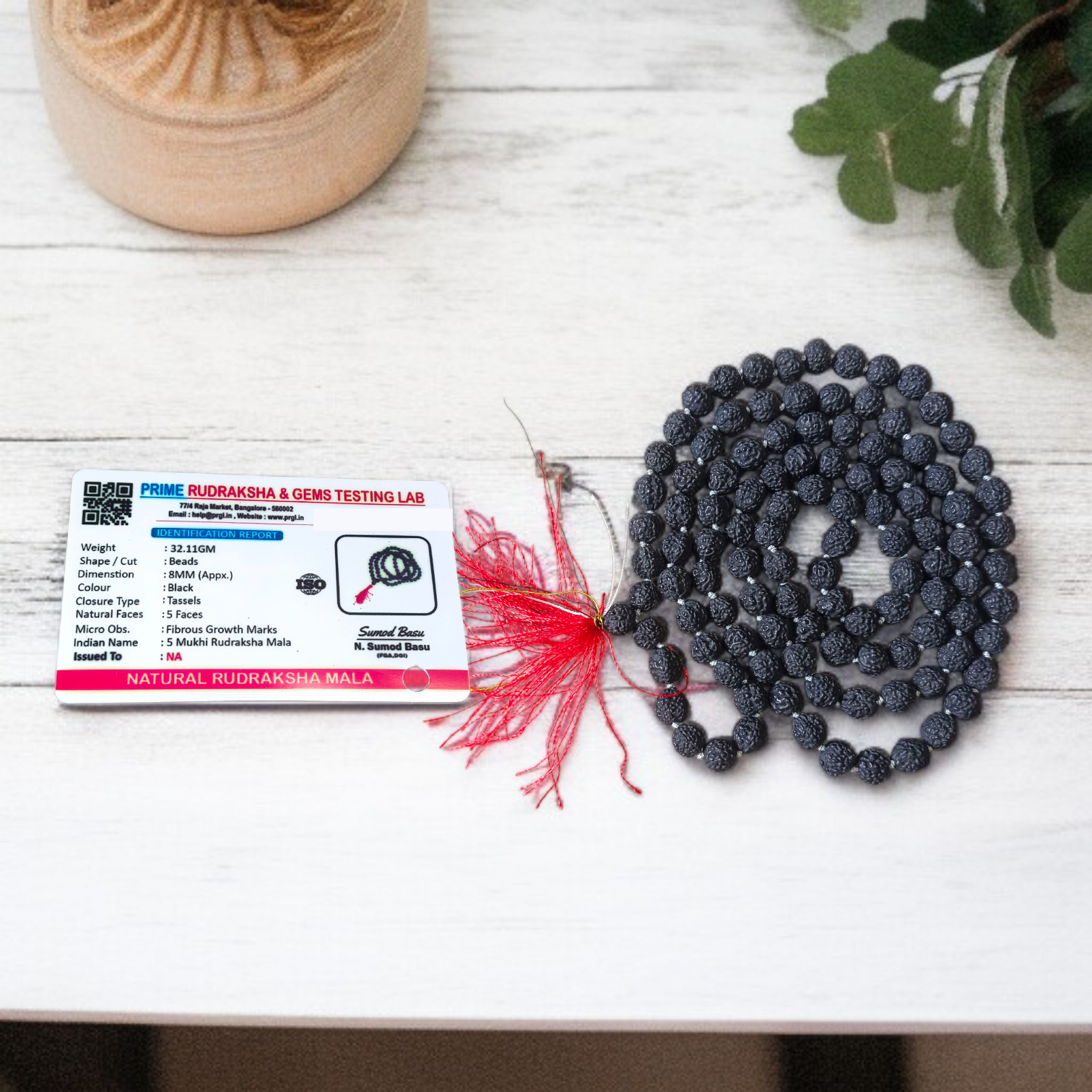 Combo Rudraksha and Black Rudraksha Mala with 108+1 beads for meditation, energy protection, and spiritual growth