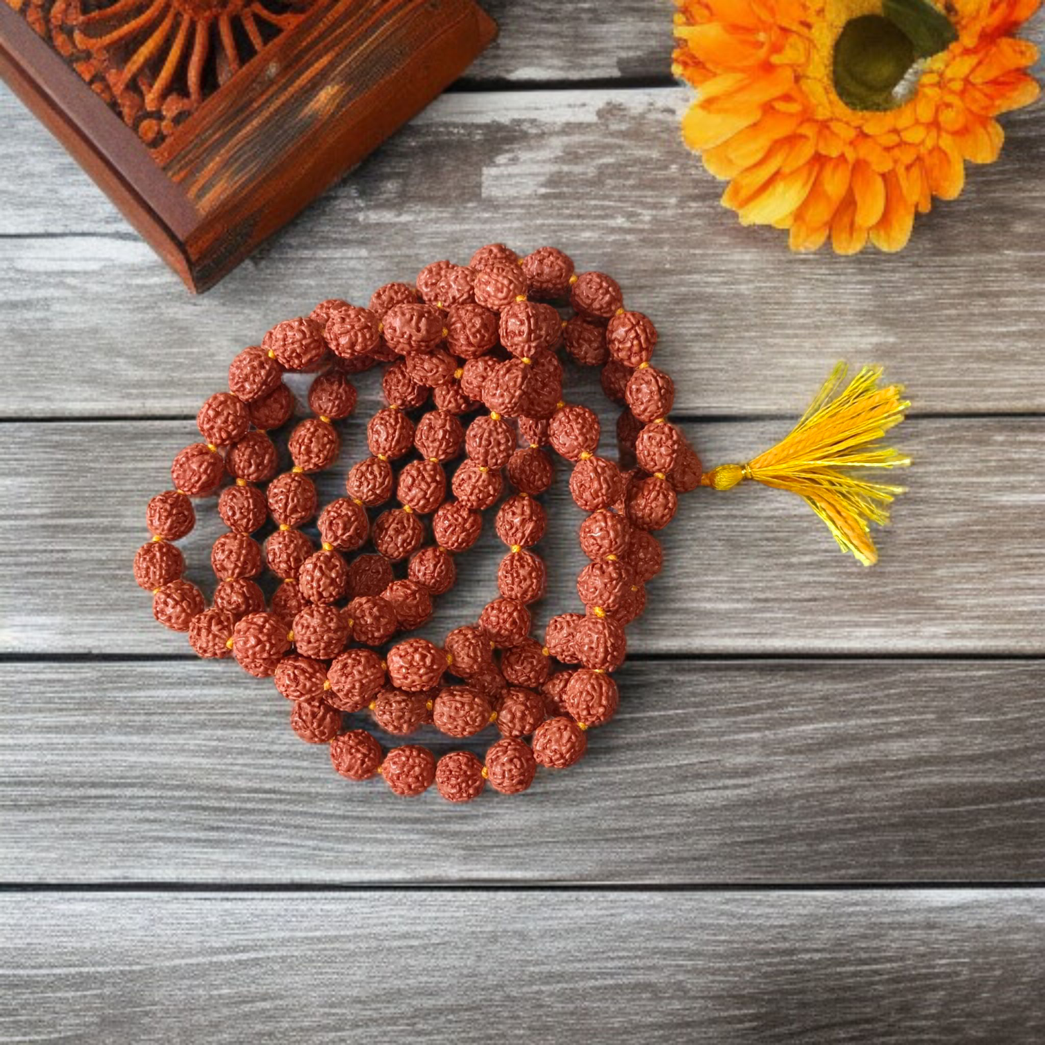 Combo Rudraksha and Black Rudraksha Mala with 108+1 beads for meditation, energy protection, and spiritual growth