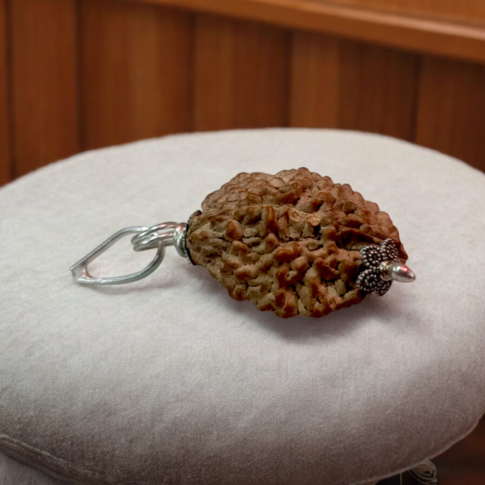 Combo of 1 Mukhi with 2 Mukhi Rudraksha | Lab Certified | Timeshopee