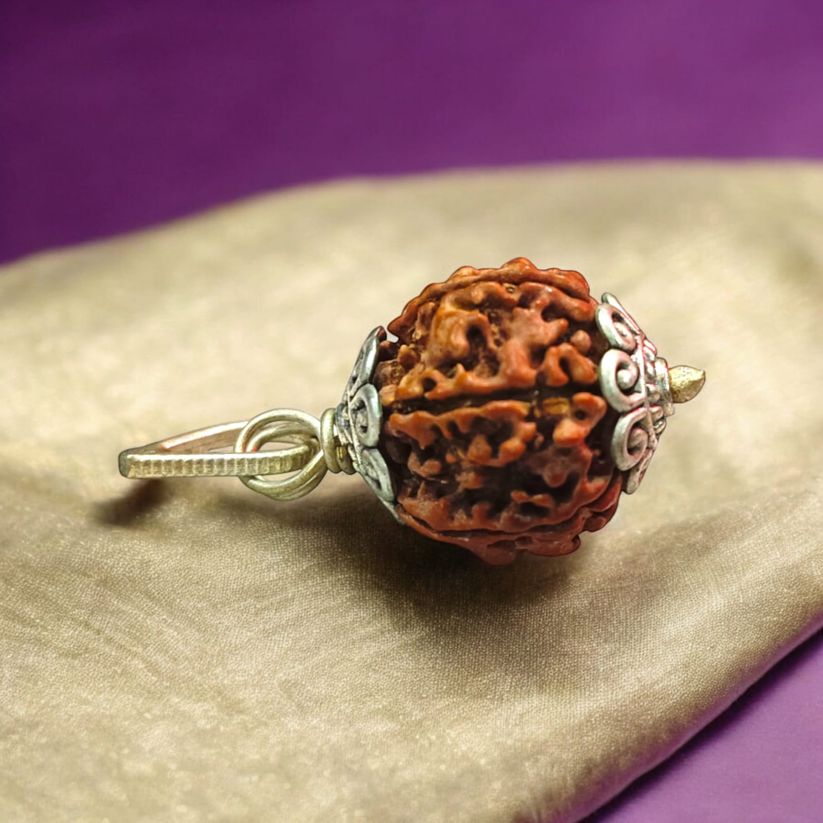 Combo_of_1_Mukhi_with_6_Mukhi_Rudraksha_Lab_Certified_Timeshopee5