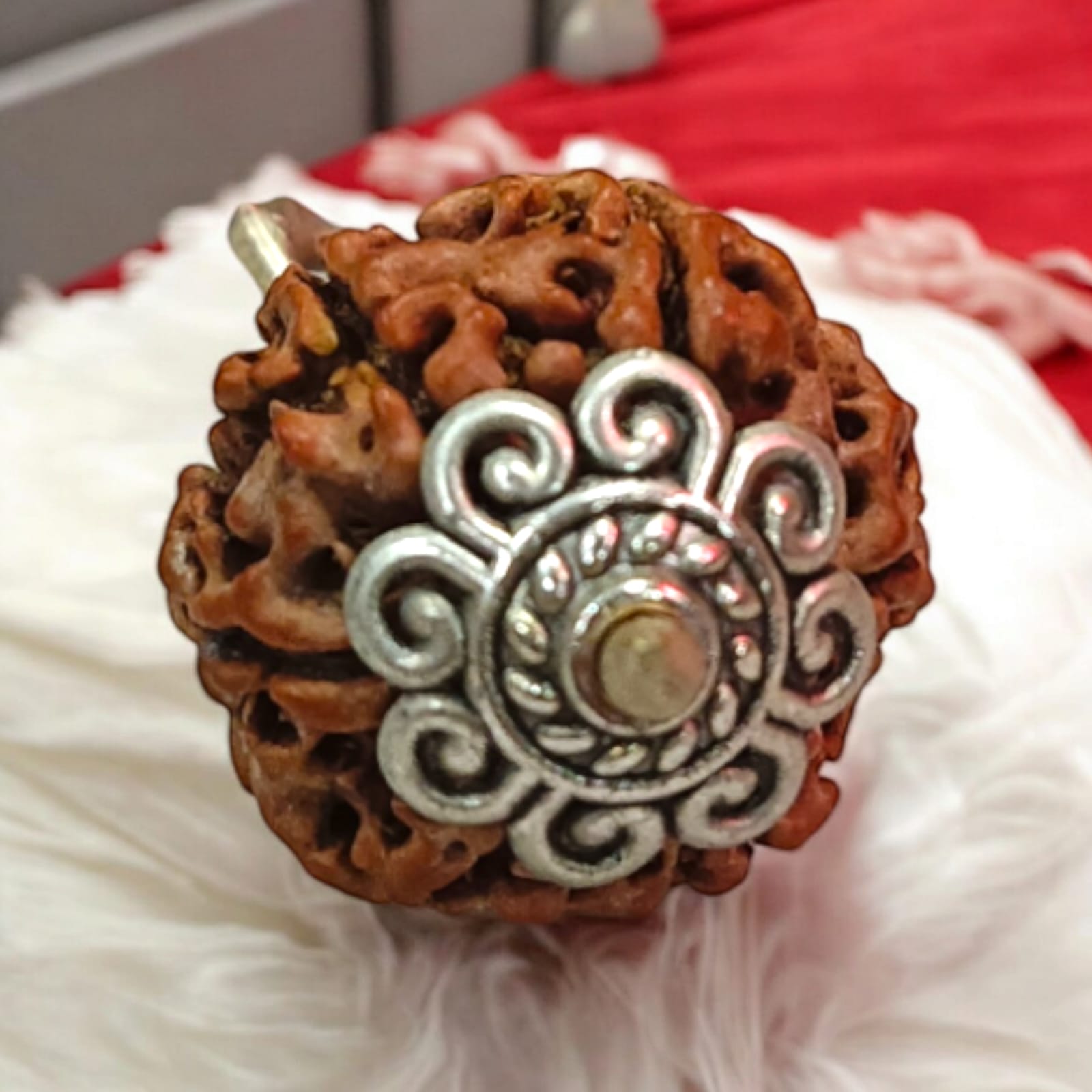 Combo of 2 Mukhi with 6 Mukhi Rudraksha | Lab Certified | Timeshopee