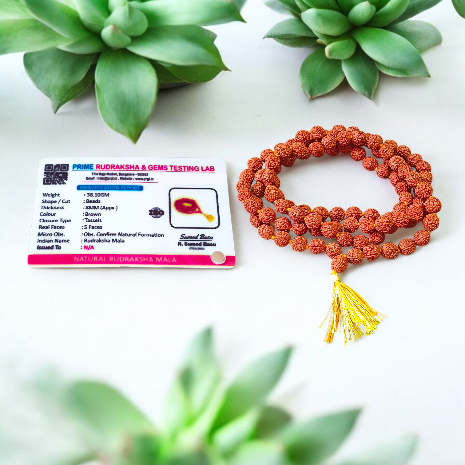 Combo of Lab Certified 5 Mukhi Rudraksha Mala, Red Pooja Aasan, and Gomukhi Bag for Meditation and Japa