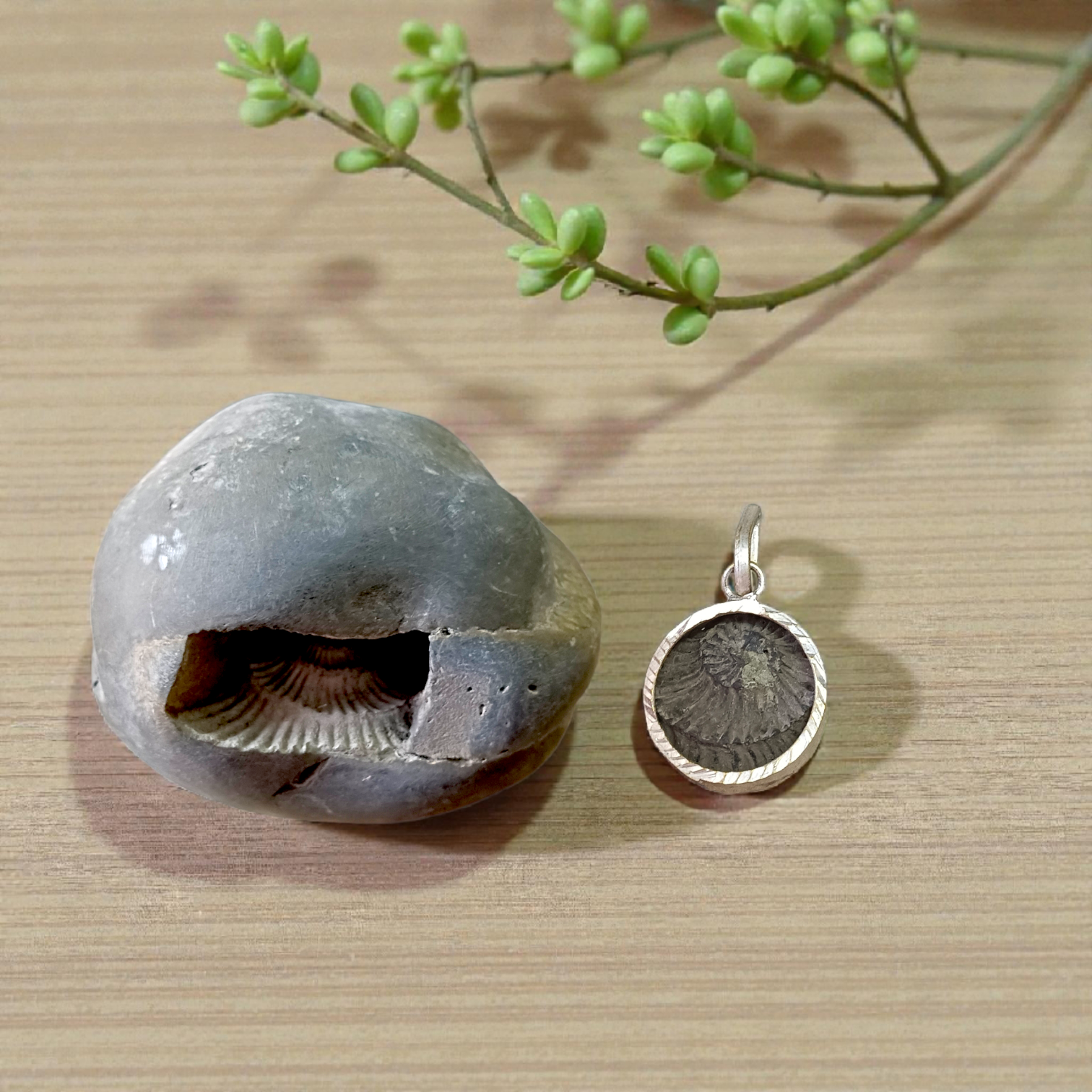 Combo of Laxmi Narayan Shaligram and wearable Shaligram Pendant – lab-certified, ideal for puja, rituals, and spiritual protection