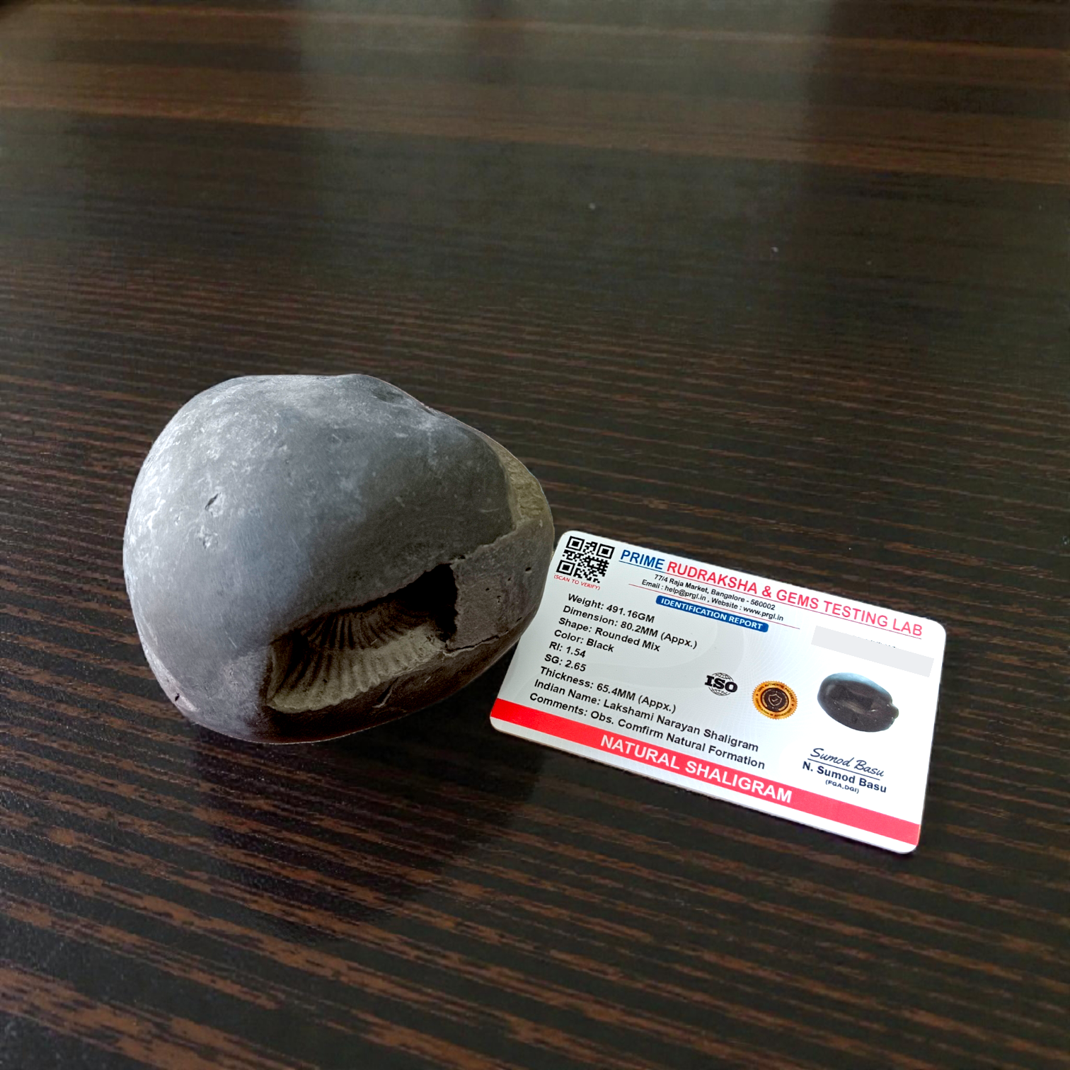 Combo of Laxmi Narayan Shaligram and wearable Shaligram Pendant – lab-certified, ideal for puja, rituals, and spiritual protection