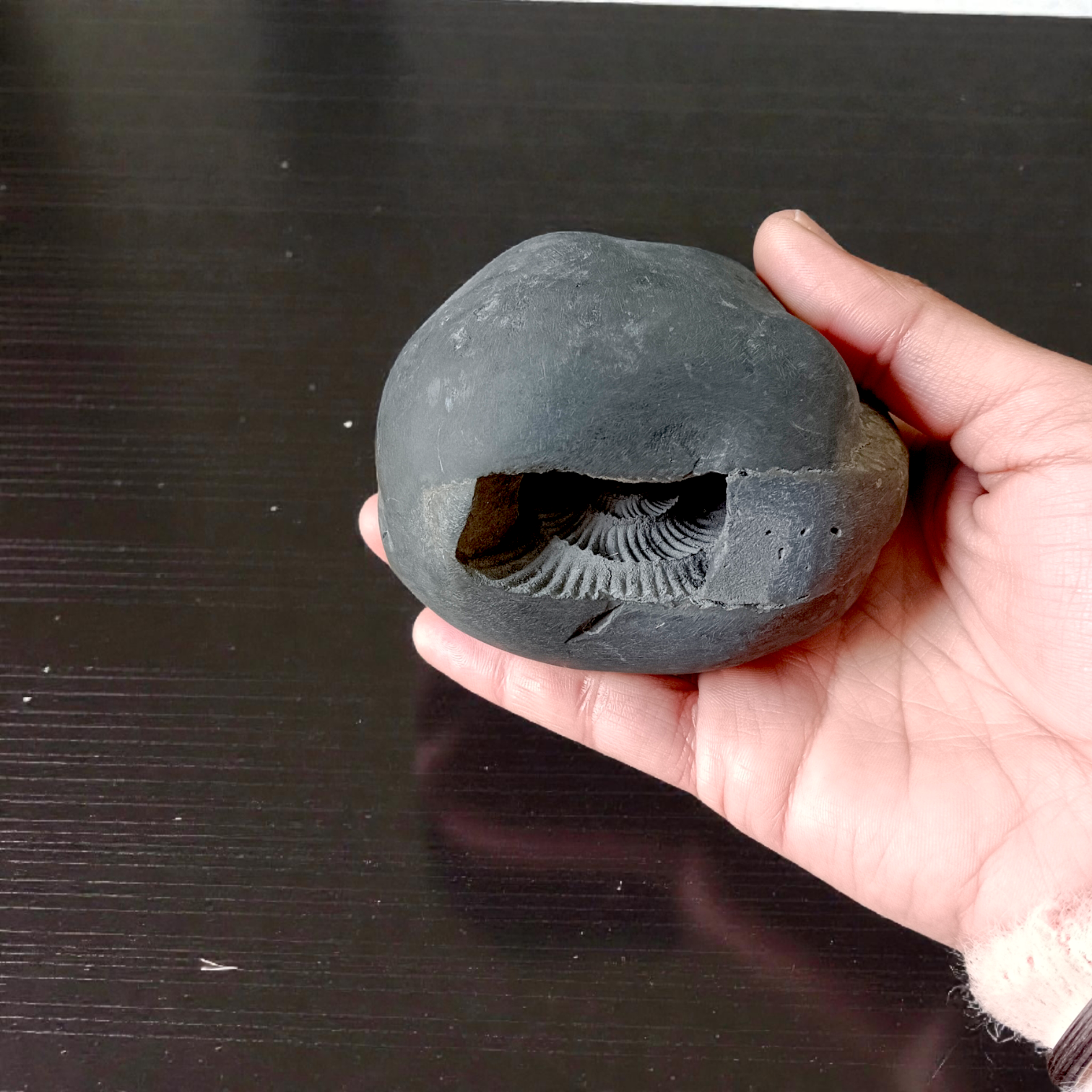 Combo of Laxmi Narayan Shaligram and wearable Shaligram Pendant – lab-certified, ideal for puja, rituals, and spiritual protection