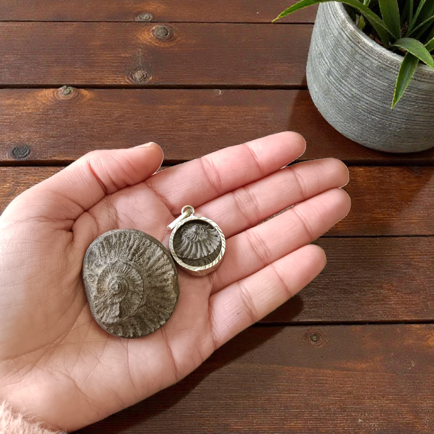 Combo of Sudarshan Shaligram and Shaligram Pendant – lab-certified spiritual set for meditation, puja, and divine protection