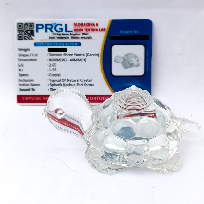 Crystal Shree Yantra on Tortoise | Lab Certified | Timeshopee