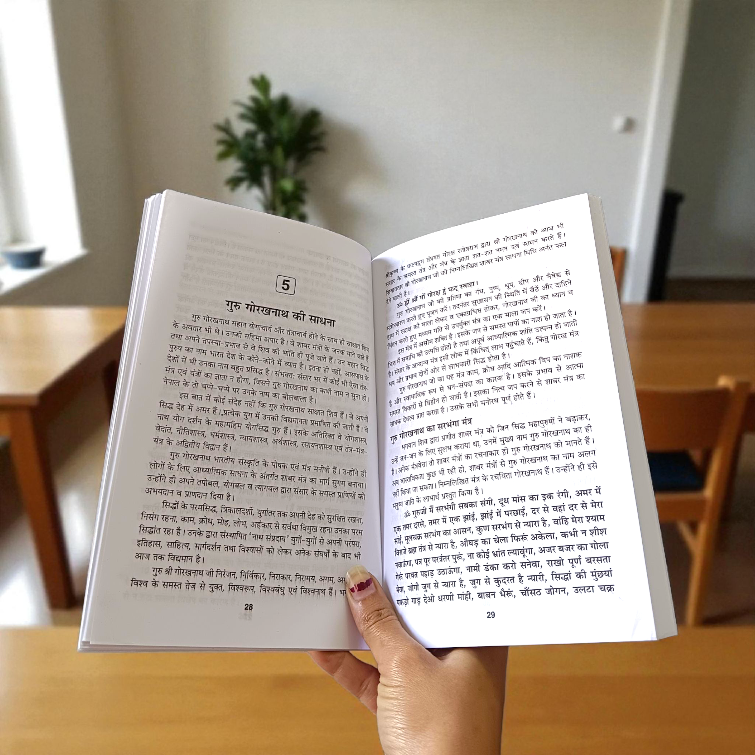 Durlab Shabar Mantro Ka Rahasya In Hindi Book – Spiritual Guide for Seekers and Mantra Practitioners