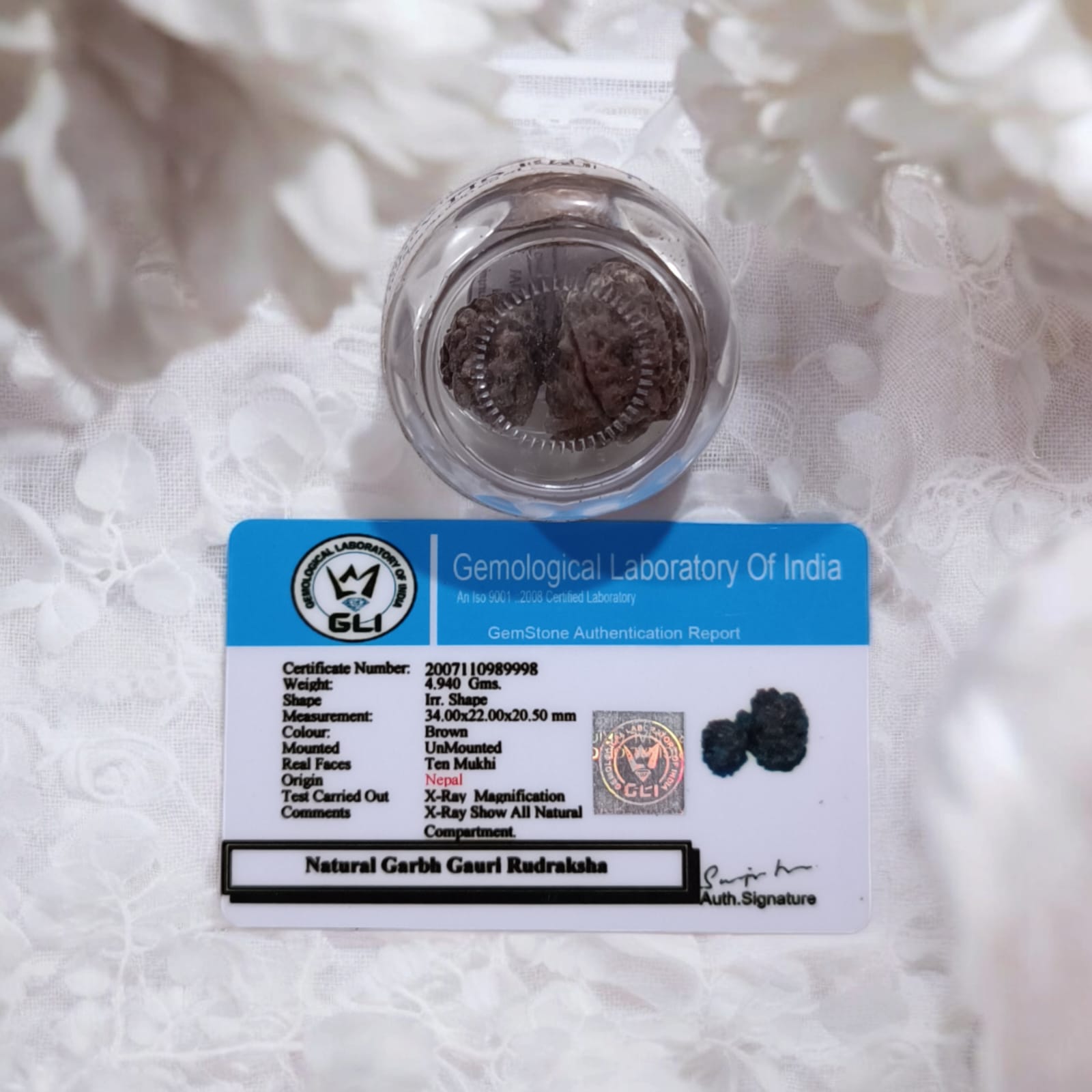 Garbh Gauri Rudraksha with divine characteristics, lab certified by Timeshopee