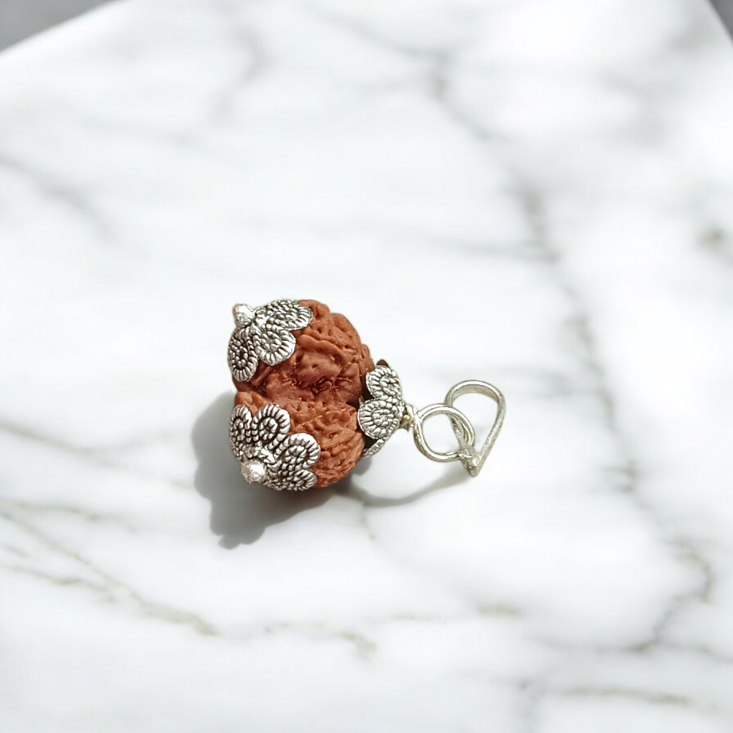 Garbh Gauri Rudraksha with divine characteristics, lab certified by Timeshopee