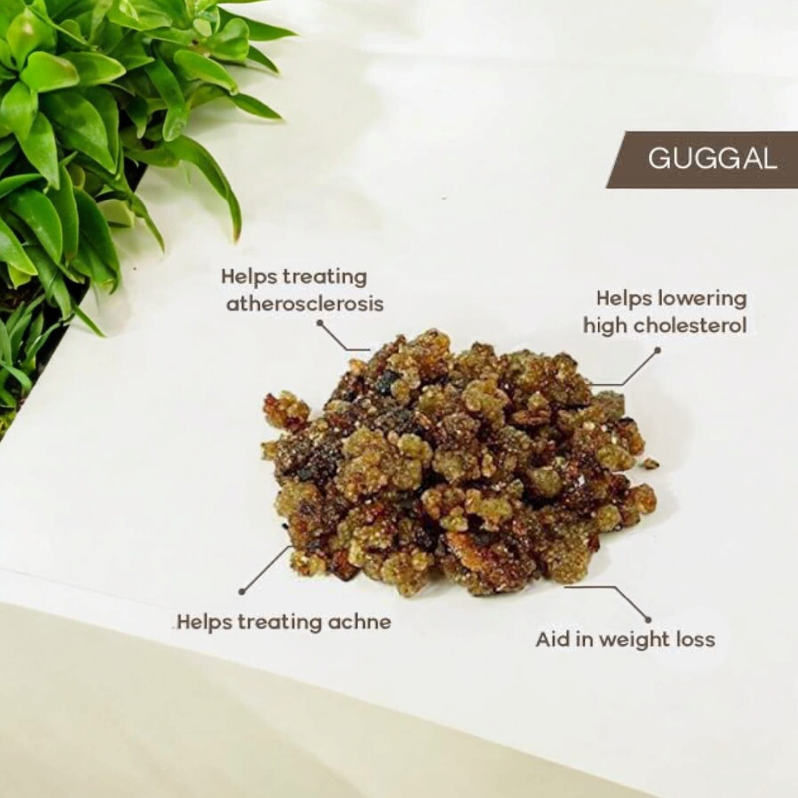 Guggal for Hawan - Pure & Original Resin, 100 GM