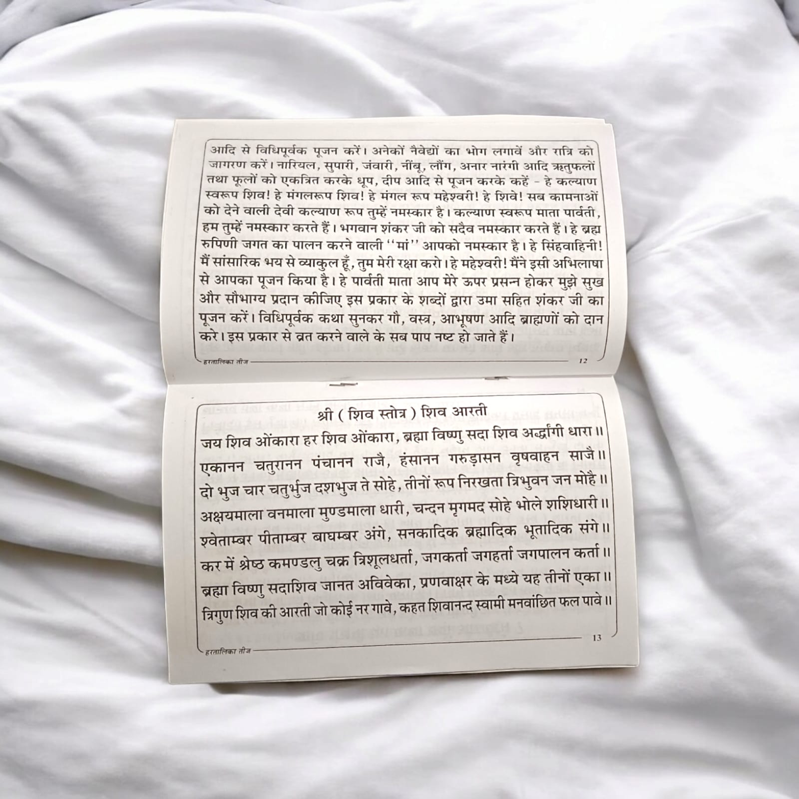 Hartalika Teej And Rishi Panchami Vrat Katha in Hindi - Spiritual and Ritual Guide