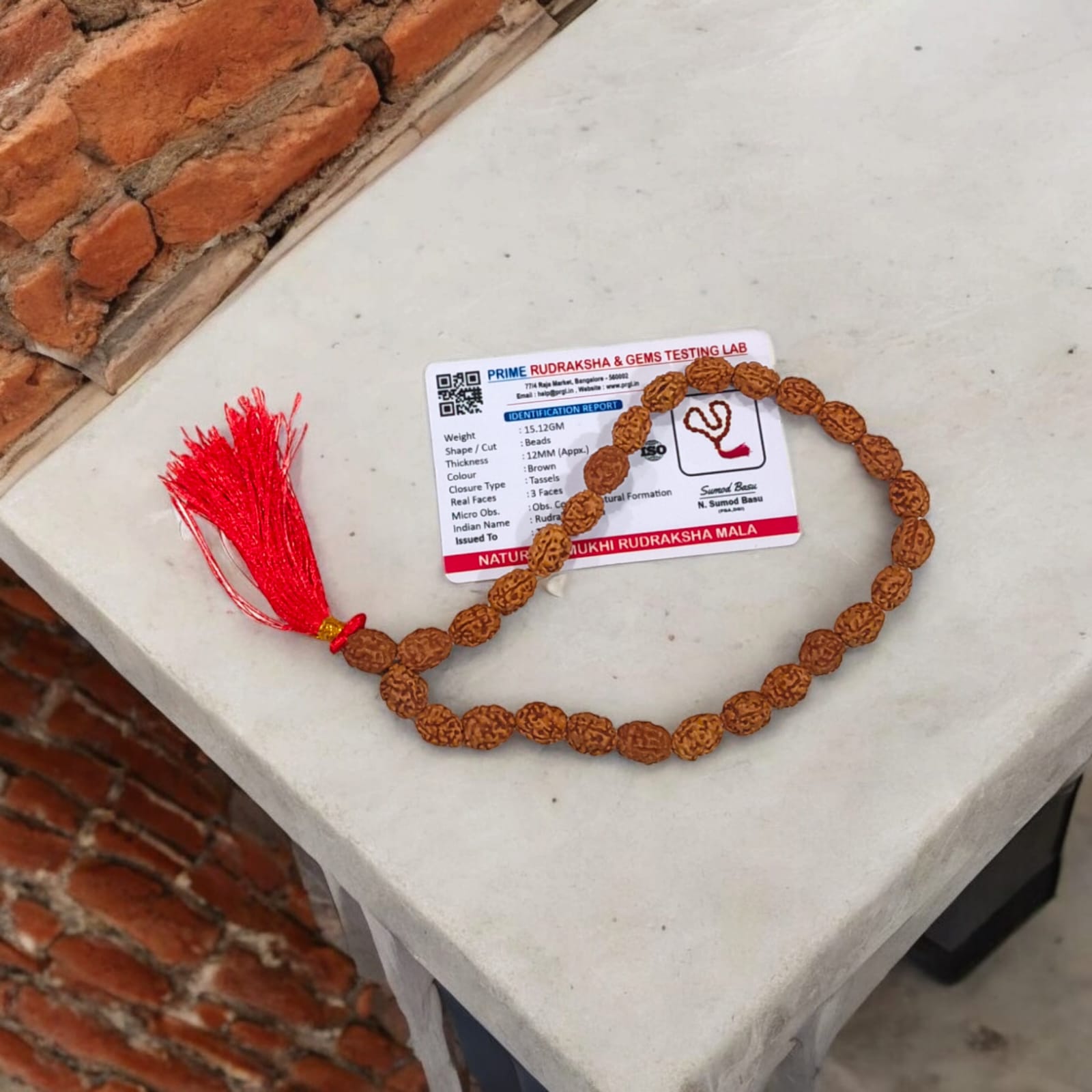 High-quality image of 3 Mukhi Rudraksha Mala in 27+1 and 108+1 bead variants, handcrafted and spiritually energized, displayed with a clean spiritual background