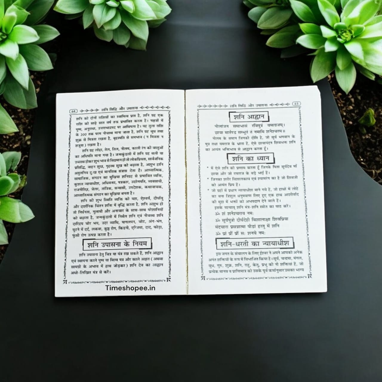 Hindi book Shani Upasana with hidden information about Shani Dev, showcasing rituals and mantras.