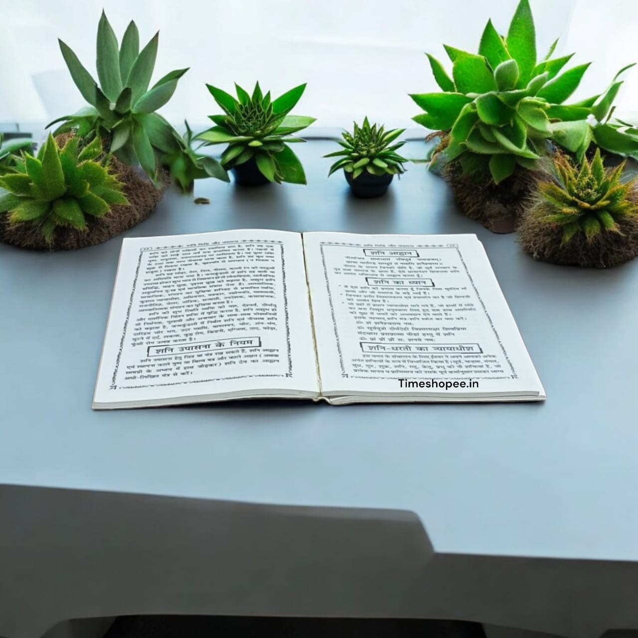 Hindi book Shani Upasana with hidden information about Shani Dev, showcasing rituals and mantras.