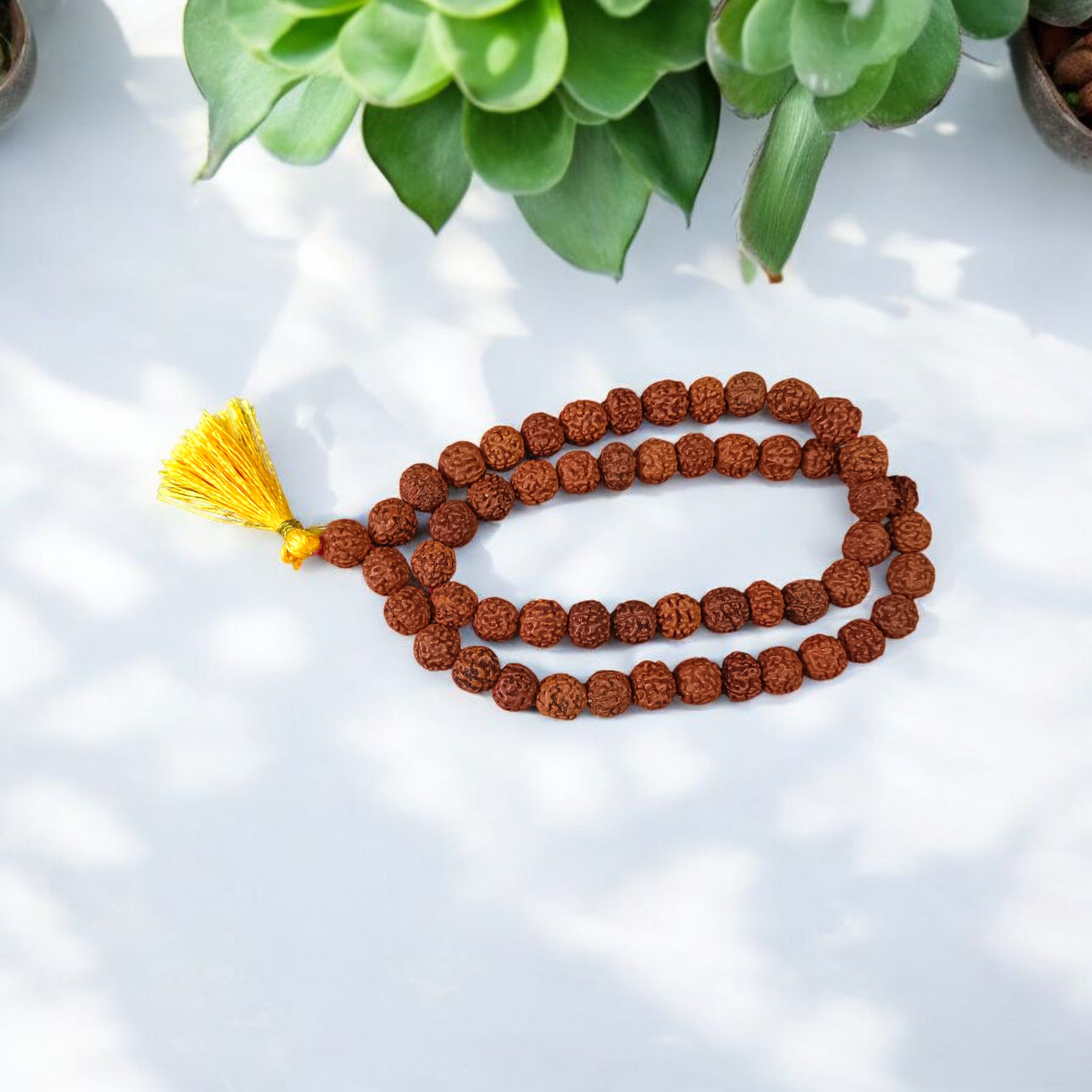 Image of Natural 5 Mukhi Rudraksha Jaap Mala made of 8mm round brown beads, arranged neatly for chanting and meditation purposes