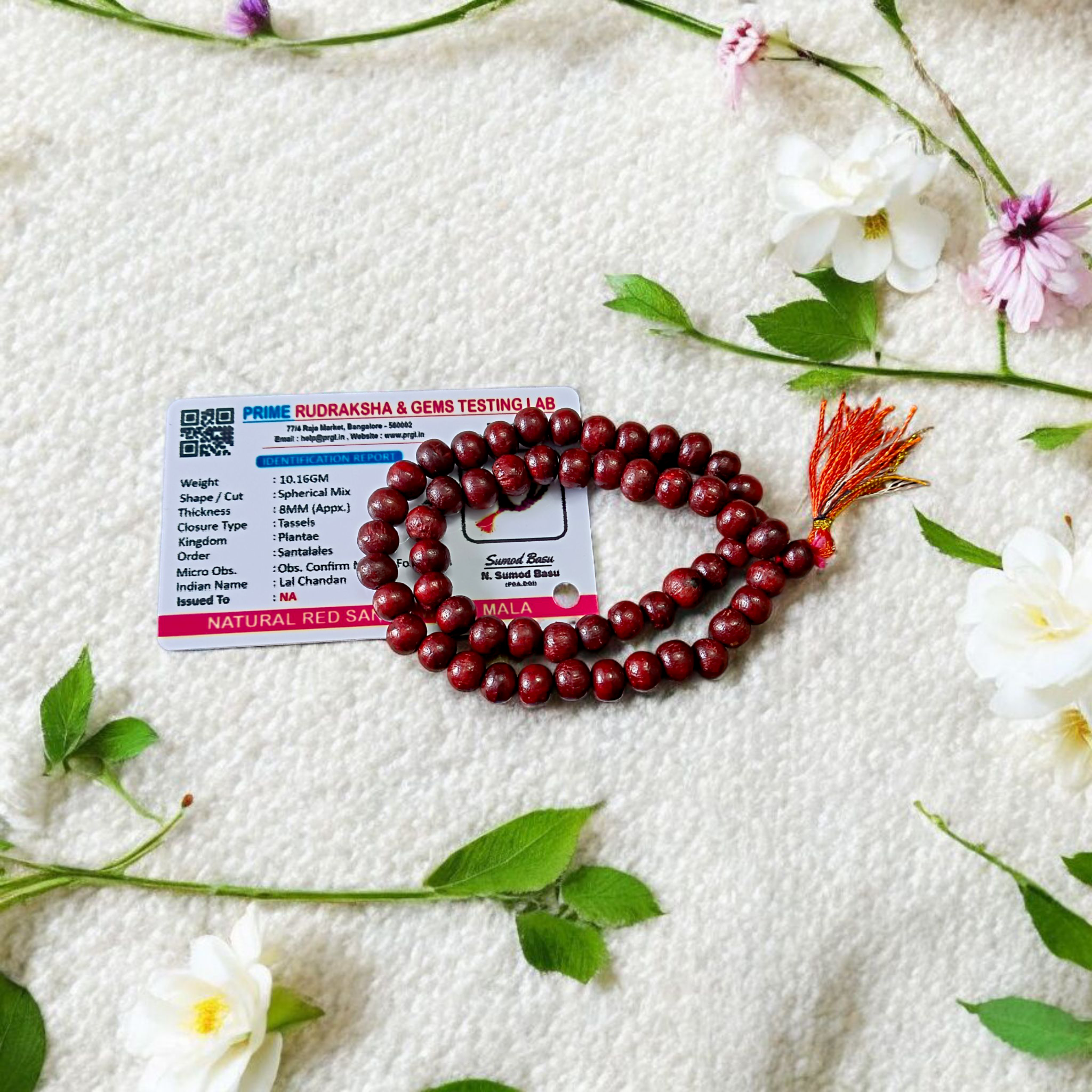Image of Natural Red Sandalwood Mala with 54+1 Beads (8mm), lab certified, neatly hand-knotted and packed by Timeshopee – Online Religious Store