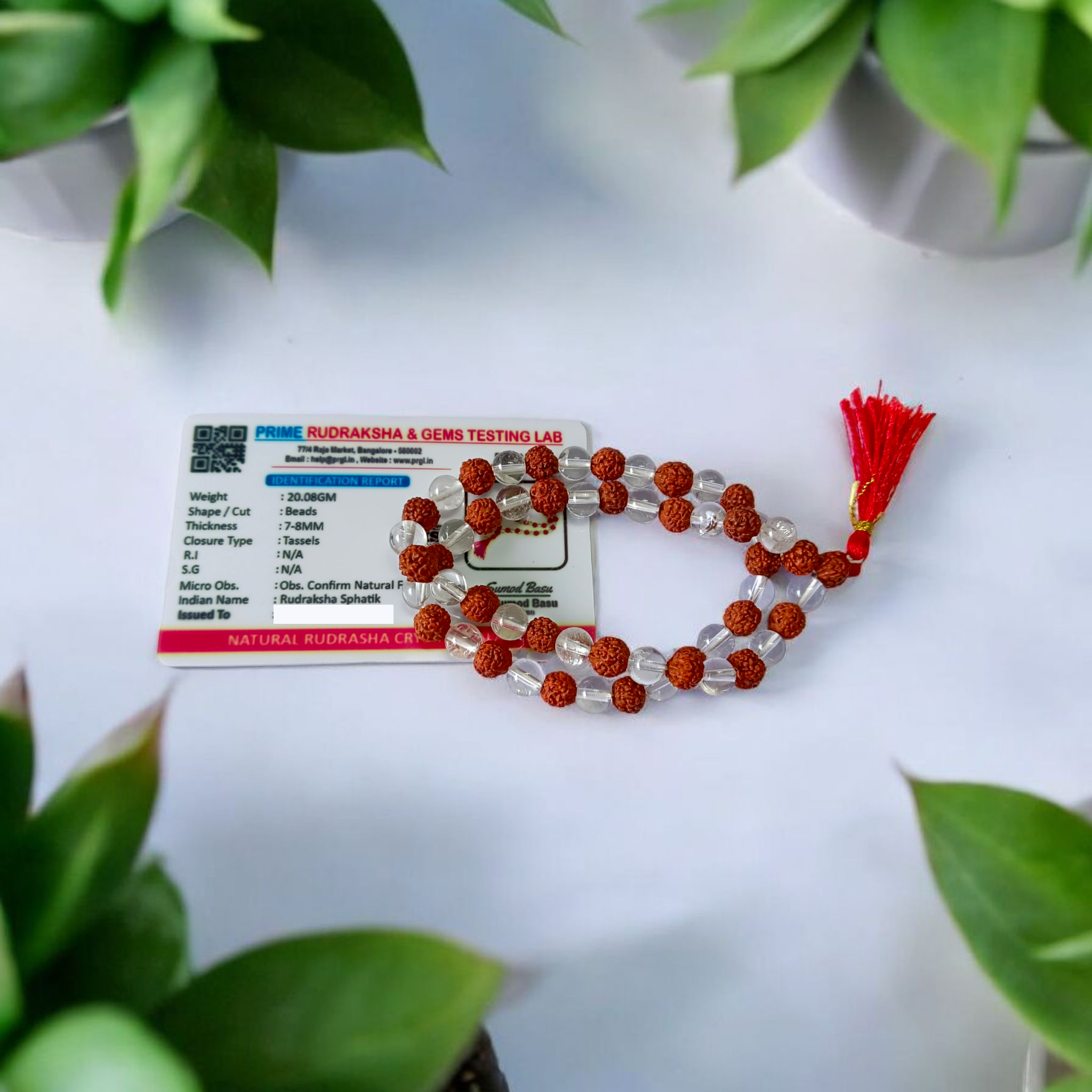 Image of Natural Rudraksha and Sphatik Mala with 54+1 beads (7-8mm), hand-knotted, lab-certified, offered by Timeshopee - Online Religious Store