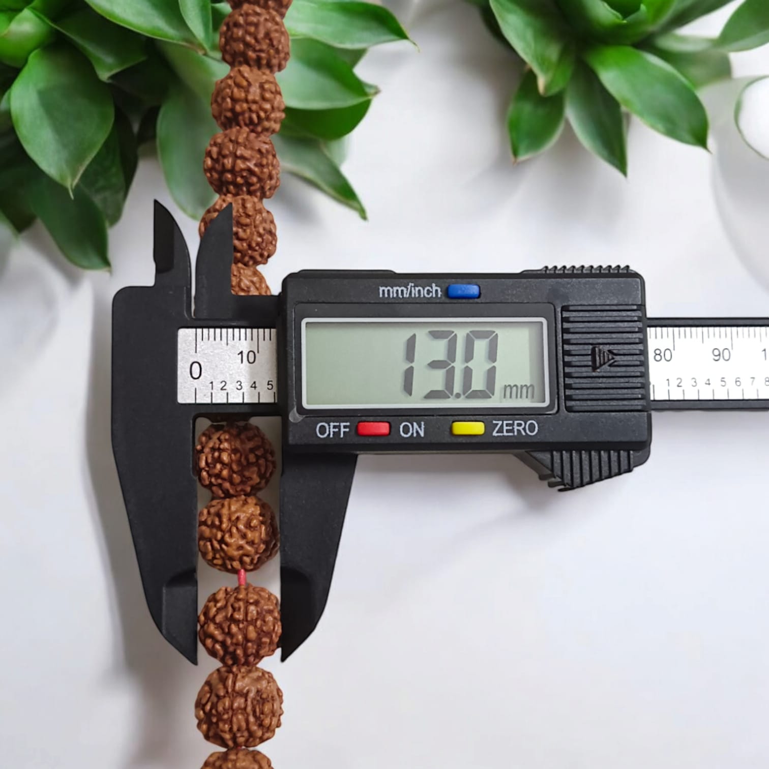 Image of a Lab Certified 6 Mukhi Rudraksha Mala from Timeshopee, available in 27+1 and 108+1 bead variants, used for meditation and spiritual purposes.