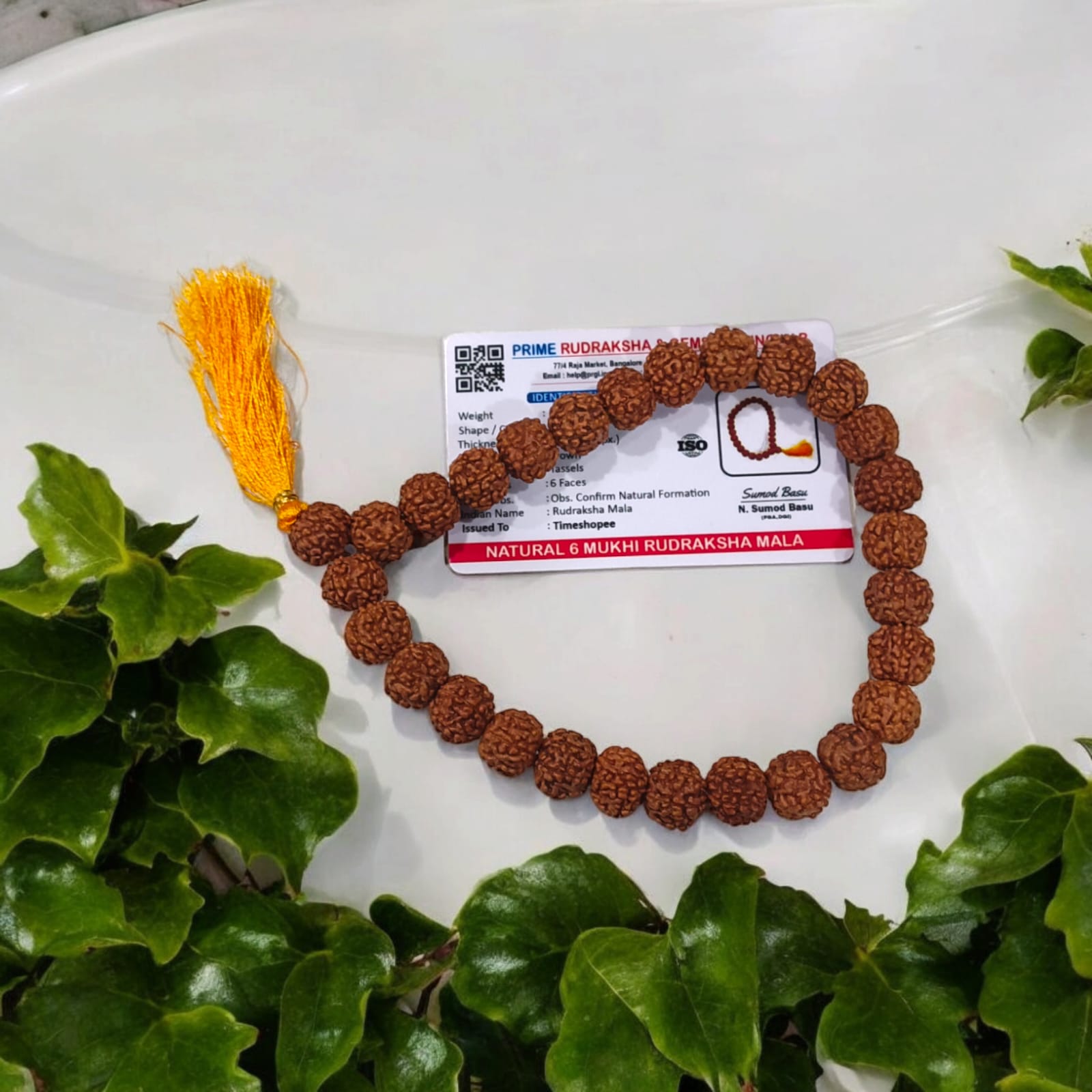 Image of a Lab Certified 6 Mukhi Rudraksha Mala from Timeshopee, available in 27+1 and 108+1 bead variants, used for meditation and spiritual purposes.