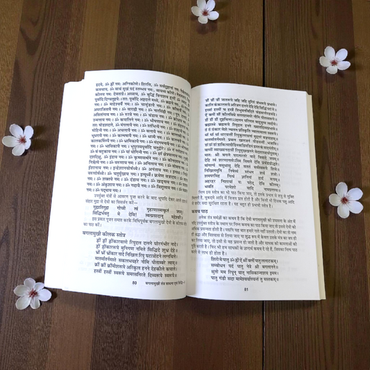 Image of the book “Bagalamukhi Tantra Sadhna and Siddhi In Hindi” featuring sacred yantras and illustrations of Goddess Bagalamukhi, ideal for tantric and spiritual practitioners.