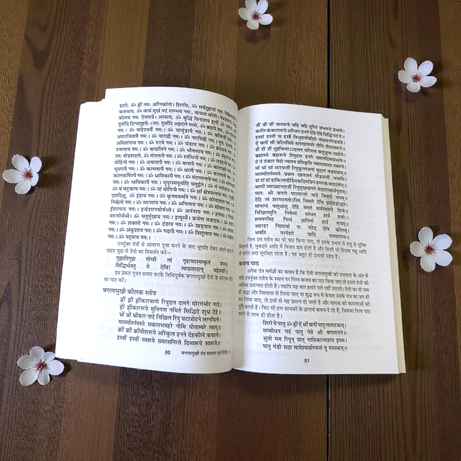 Image of the book “Bagalamukhi Tantra Sadhna and Siddhi In Hindi” featuring sacred yantras and illustrations of Goddess Bagalamukhi, ideal for tantric and spiritual practitioners.