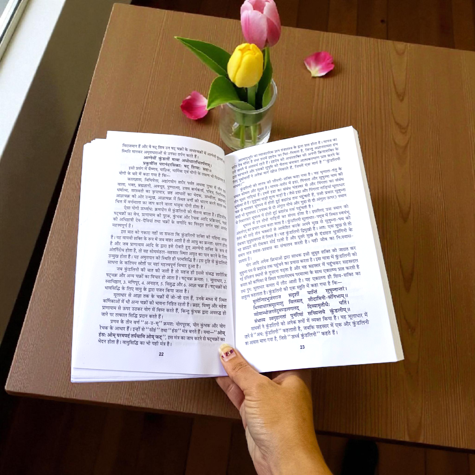 Image of the book “Bagalamukhi Tantra Sadhna and Siddhi In Hindi” featuring sacred yantras and illustrations of Goddess Bagalamukhi, ideal for tantric and spiritual practitioners.