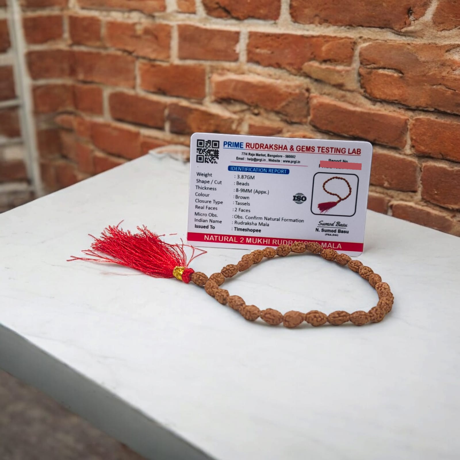 Image showing a hand-crafted 2 Mukhi Rudraksha Mala in 108+1 bead variant, lab certified and neatly arranged on a traditional cloth background with Timeshopee tag.